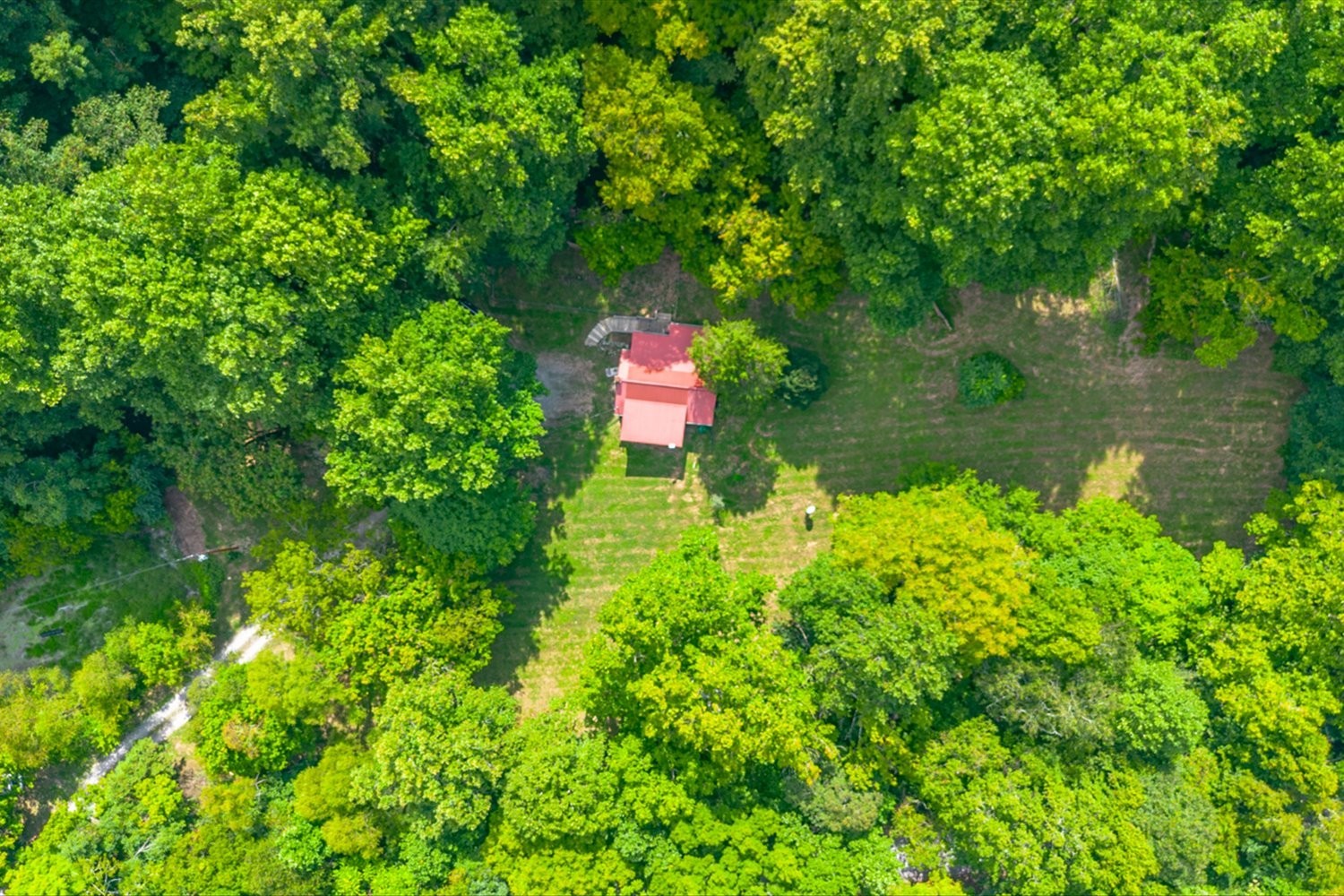 2095 Coyle Road Lynnville, TN 38472 - Photo 24 of 28 11 +/- acres