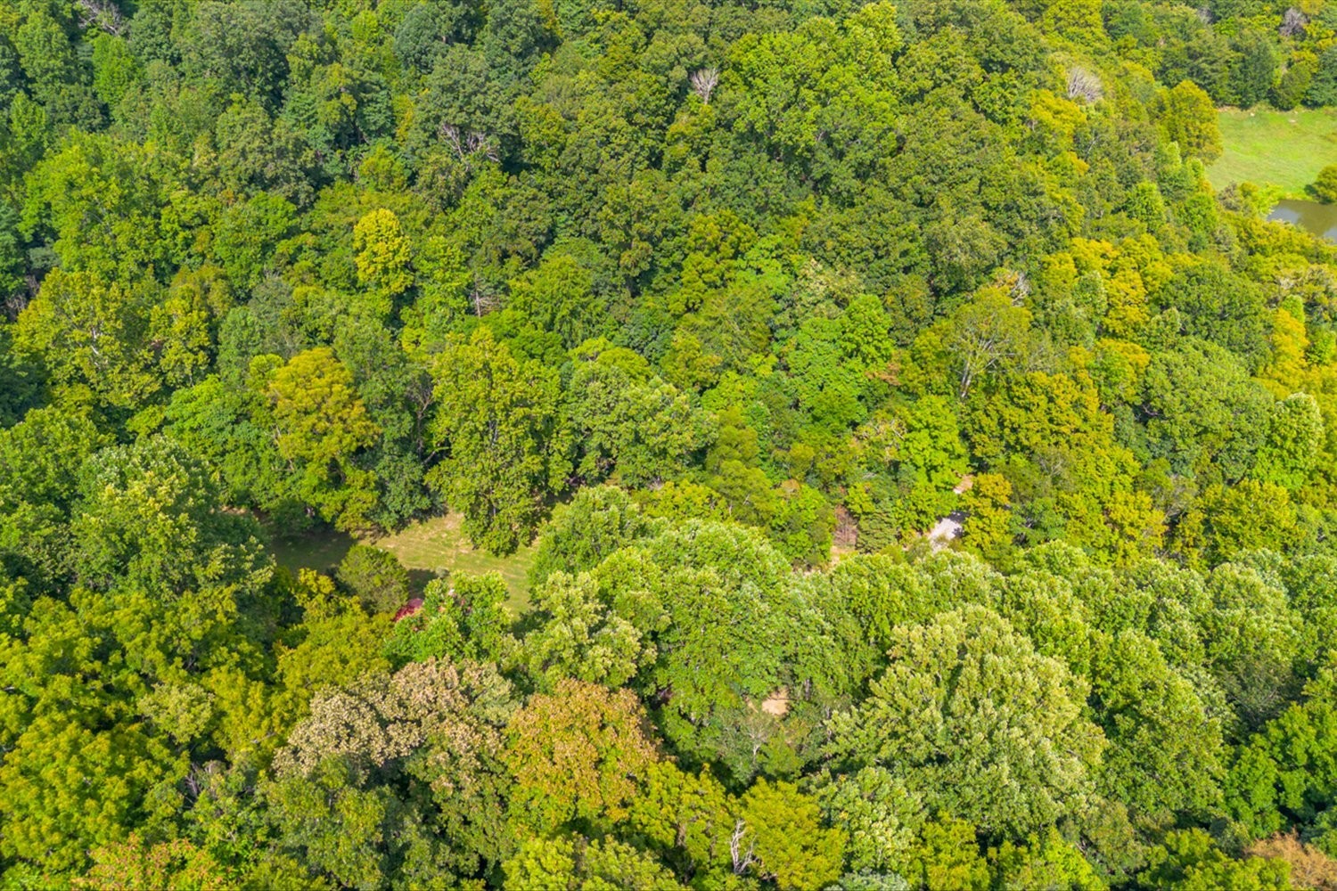 2095 Coyle Road Lynnville, TN 38472 - Photo 27 of 28 get away from it all