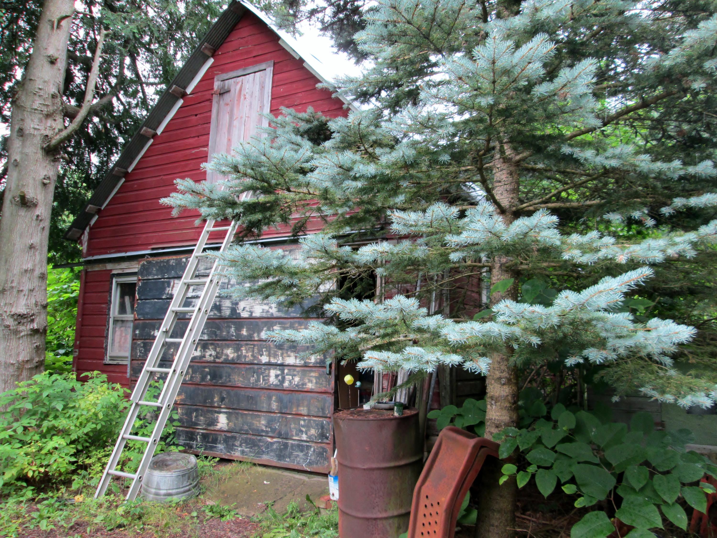 5726 Behling Road East Jordan, MI 49727 - Photo 10 of 40 Gallery Image 10