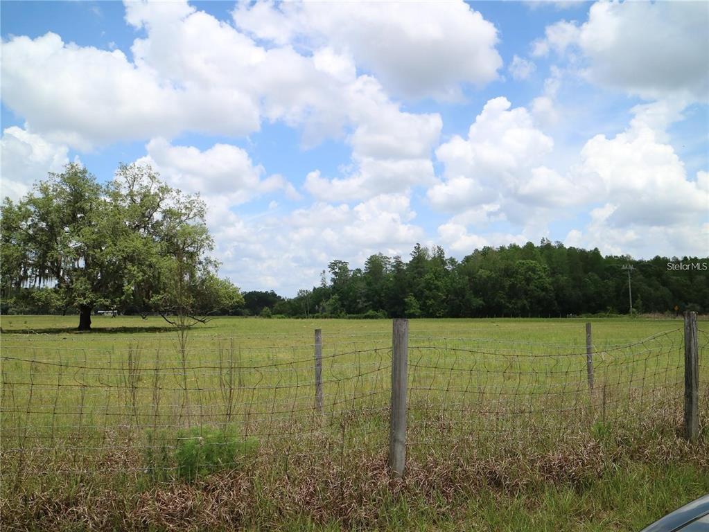 11819 Tarpon Springs Road Odessa, FL 33556 - Photo 5 of 7