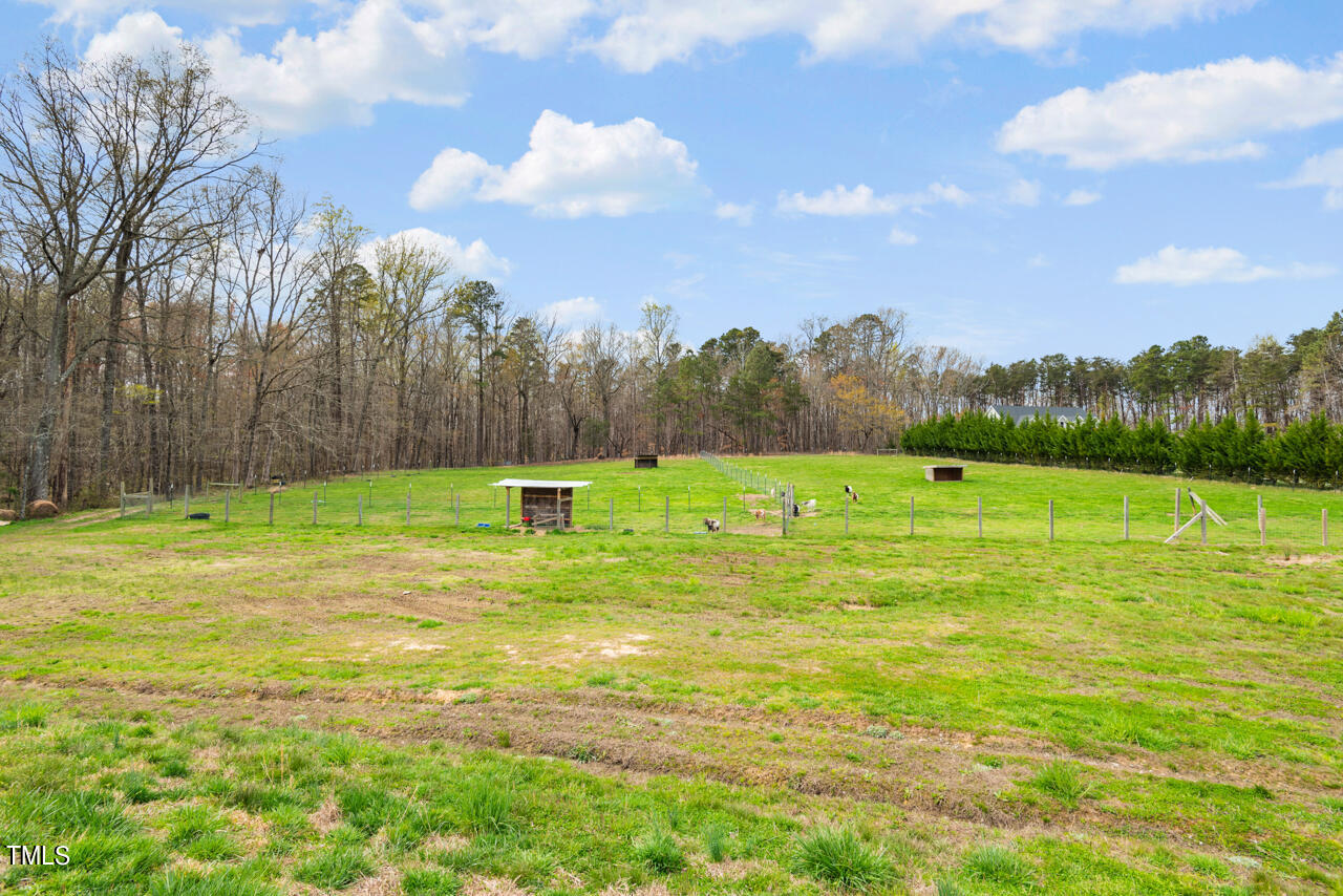 530 Rougemont Road Rougemont, NC 27572 - Photo 49 of 65 50