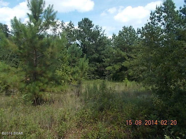0 Owens Road Westville, FL 32464 - Photo 2 of 7