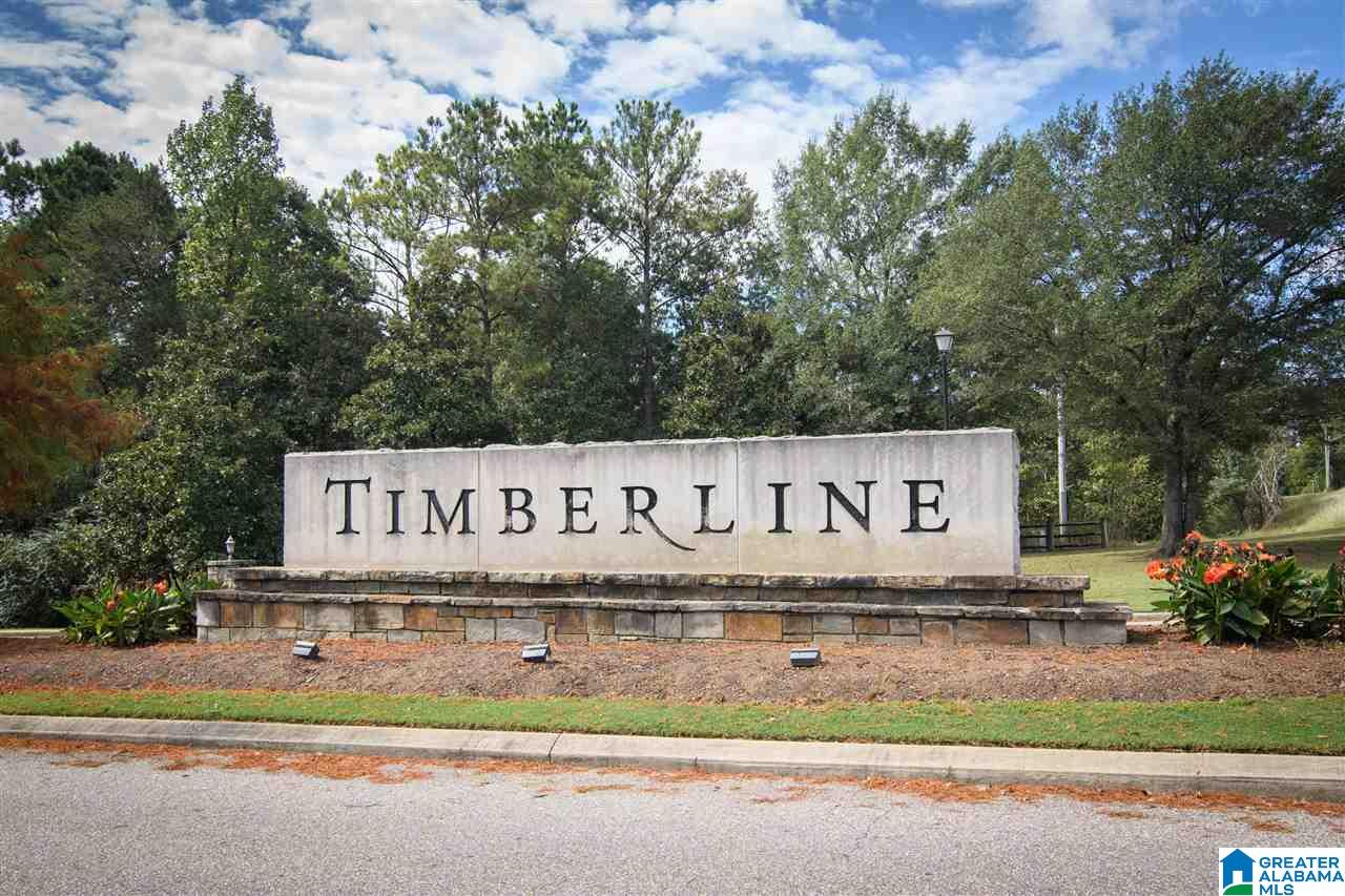 907 Timberline Circle Calera, AL 35040 - Photo 46 of 50