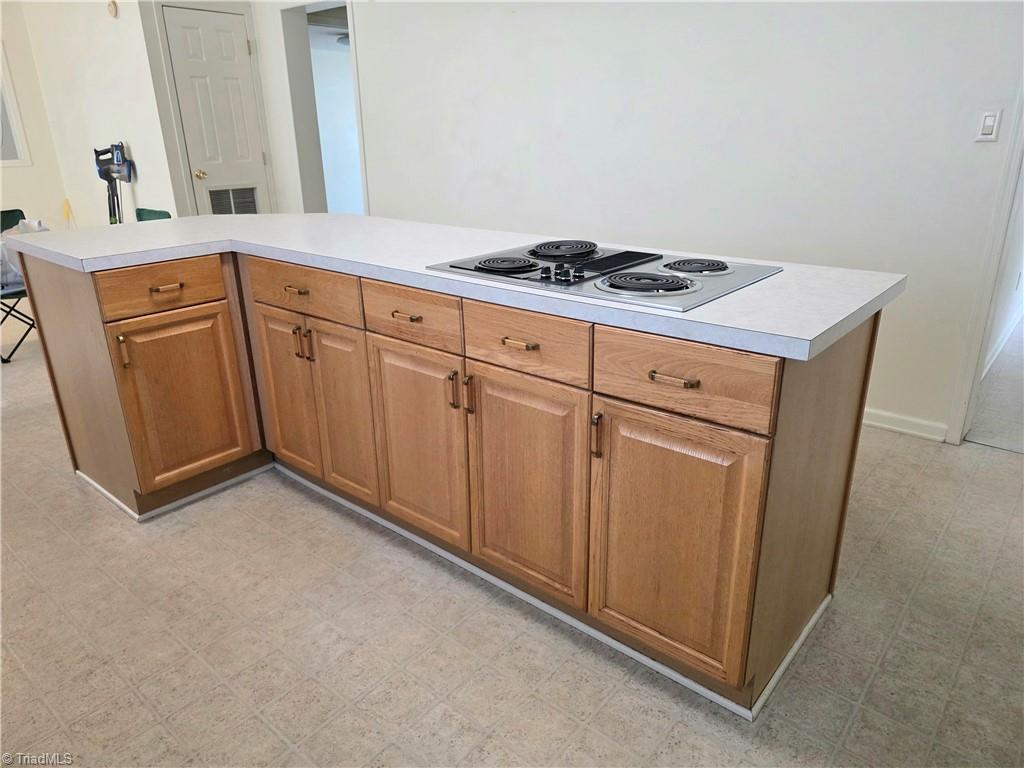 1991 Hedrick Mill Road Lexington, NC 27292 - Photo 8 of 17 Kitchen