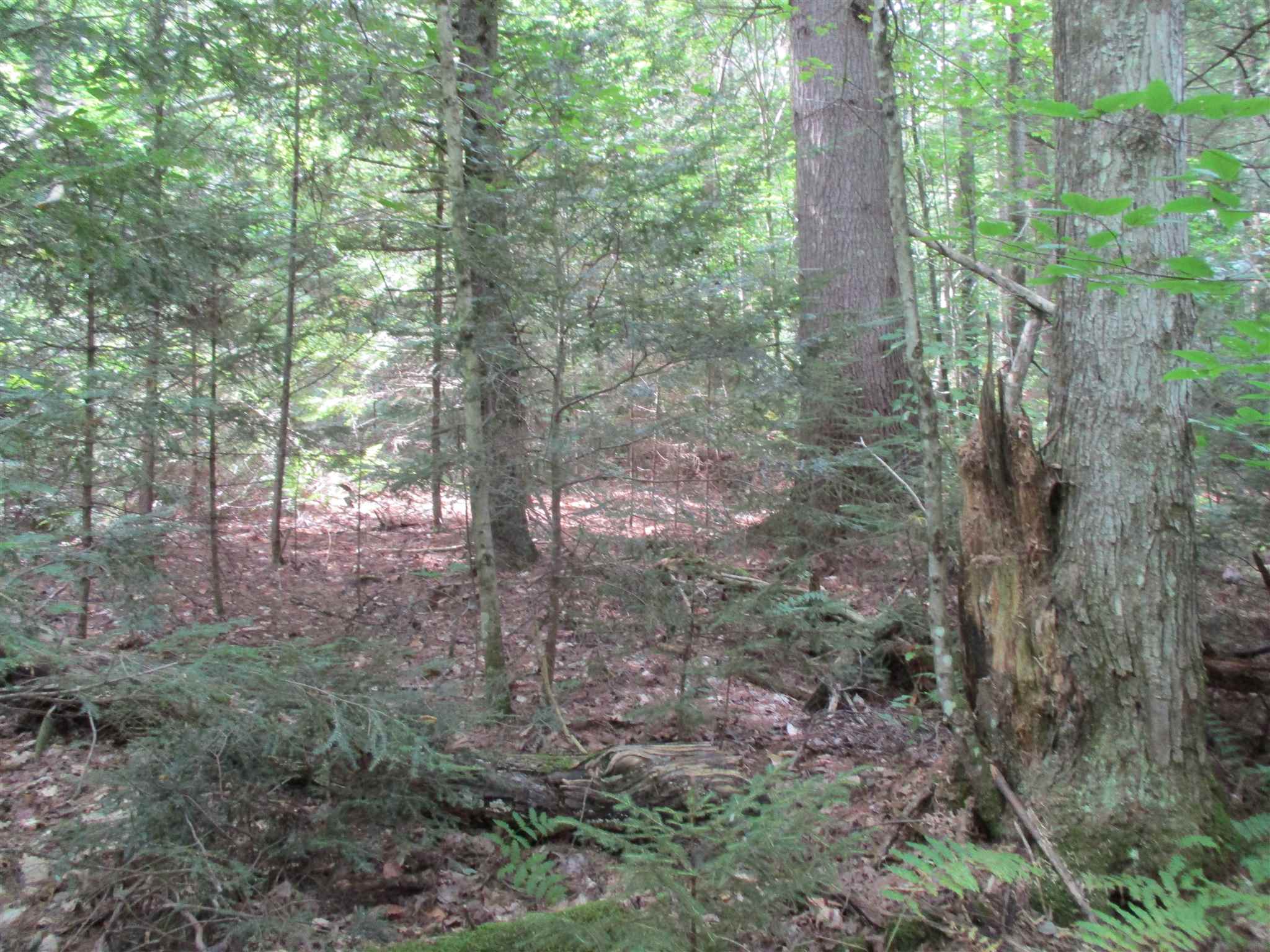 0 Riford Brook Road Braintree, VT 05060 - Photo 14 of 17