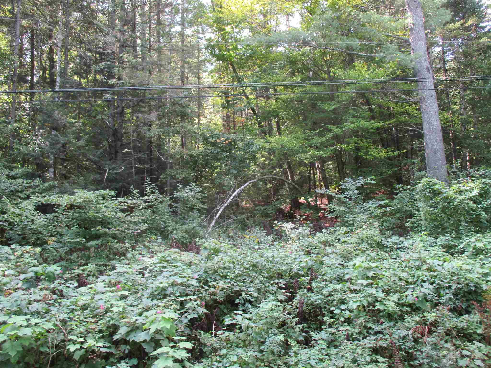 0 Riford Brook Road Braintree, VT 05060 - Photo 3 of 17