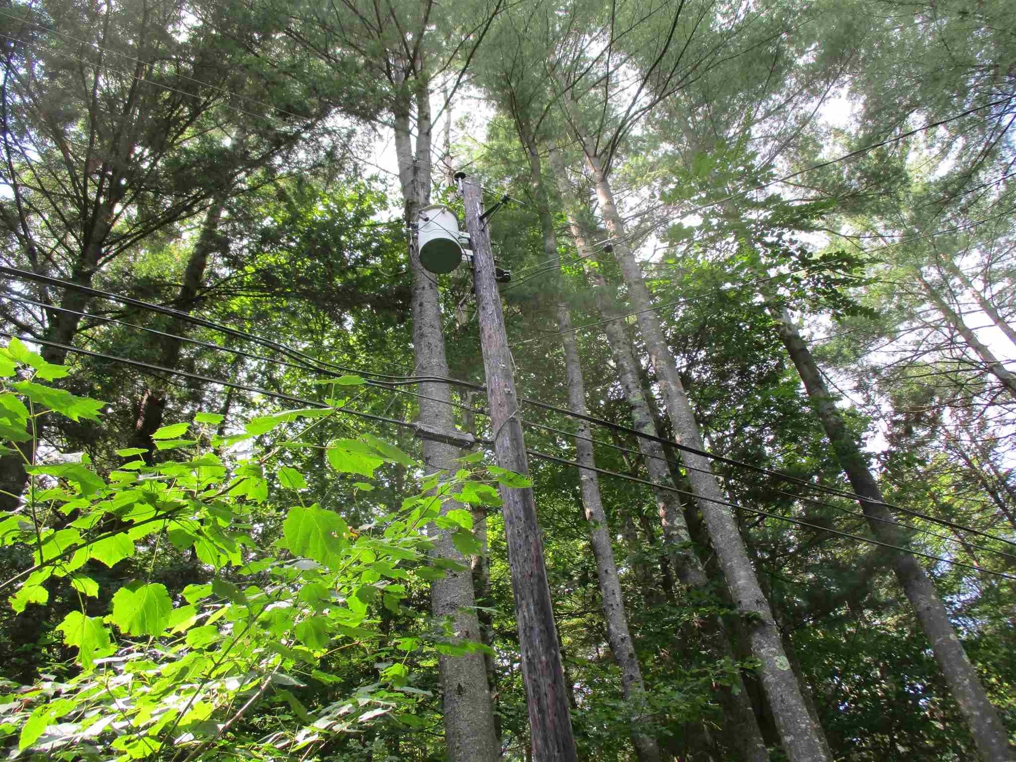 0 Riford Brook Road Braintree, VT 05060 - Photo 5 of 17