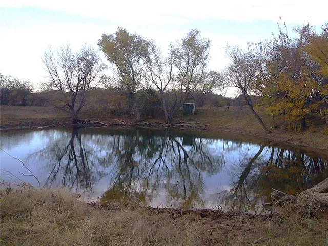 a view of backyard with large tree and wooden fence