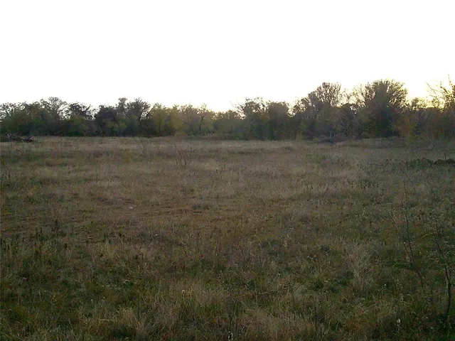 a view of a field with trees in background