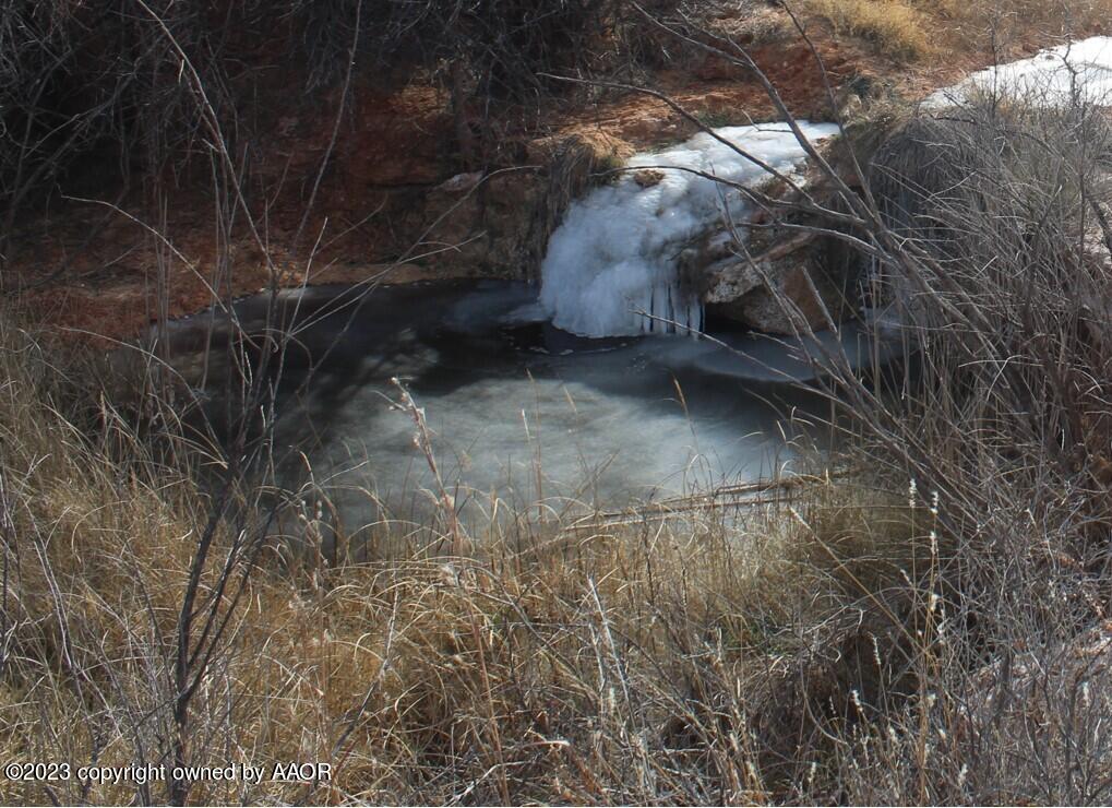 The The Turkey Ranch Turkey, TX 79261 - Photo 14 of 72 BB9B5460572C4D468769F0CFA1A511C4