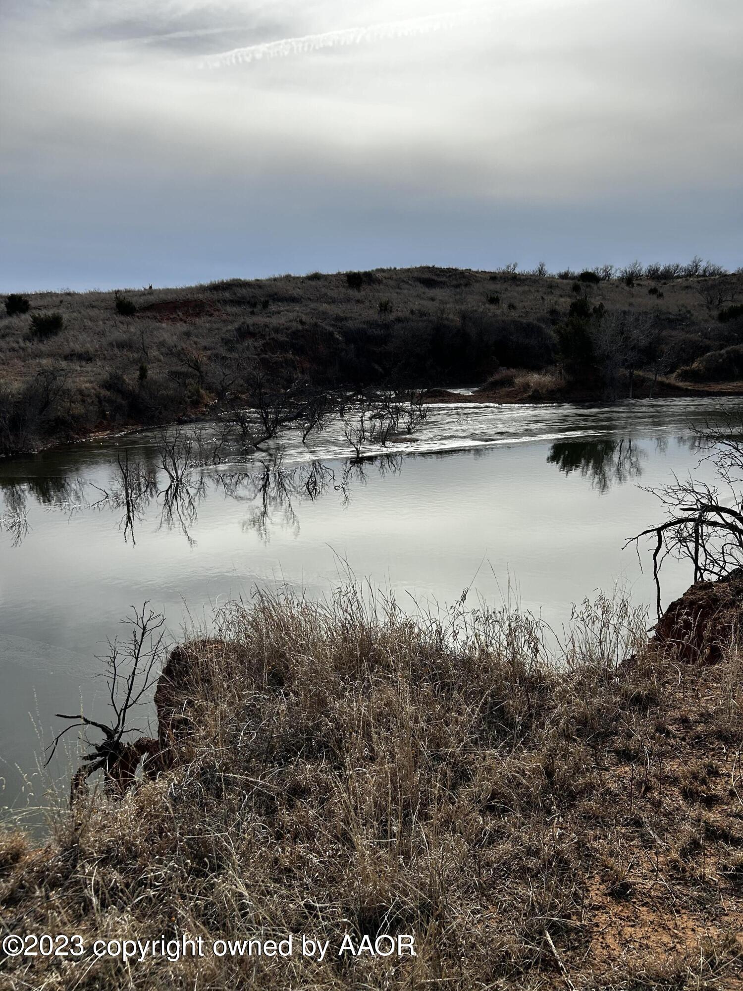 The The Turkey Ranch Turkey, TX 79261 - Photo 21 of 72 IMG-5050