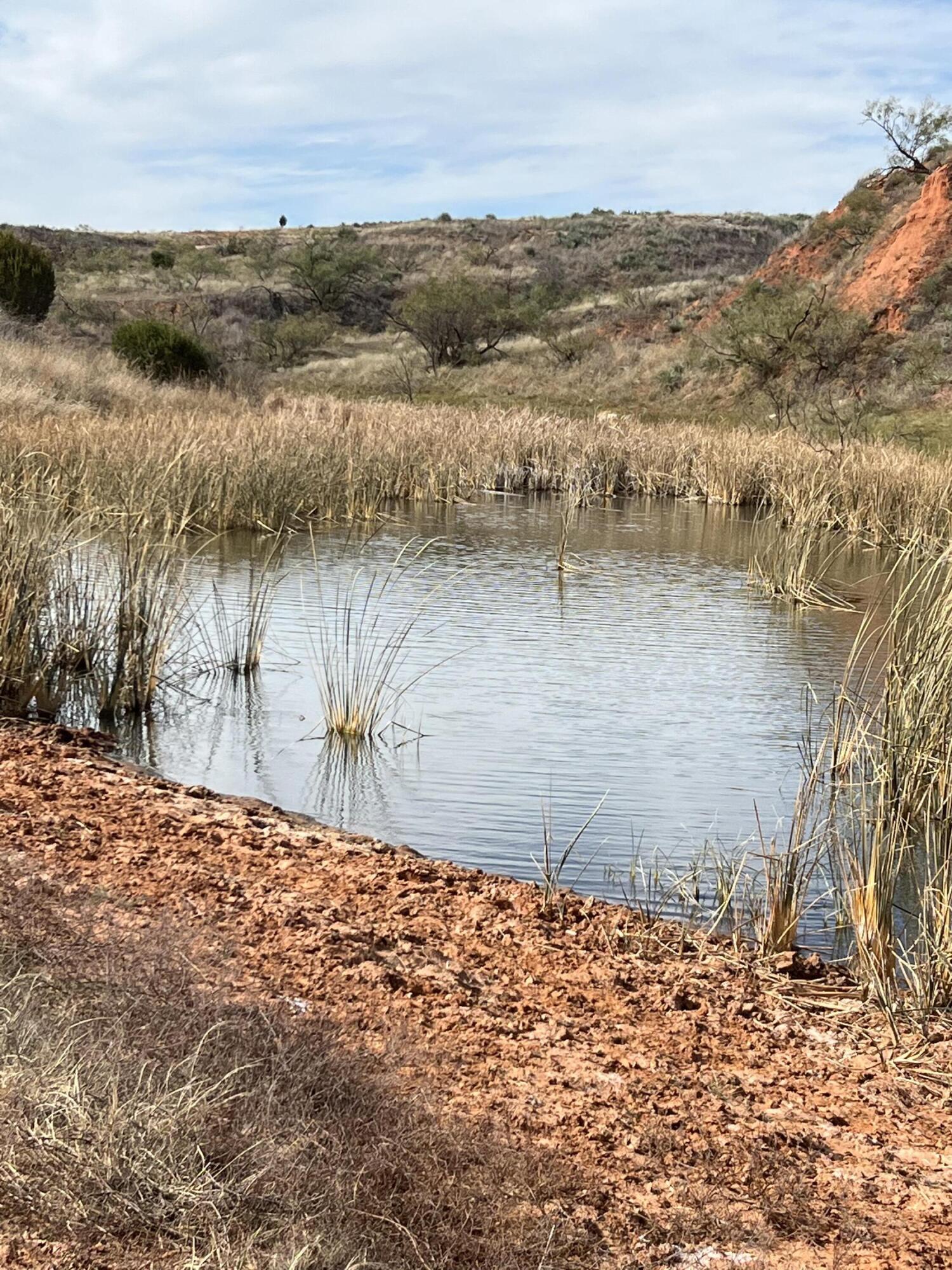 The The Turkey Ranch Turkey, TX 79261 - Photo 22 of 72 IMG-1537