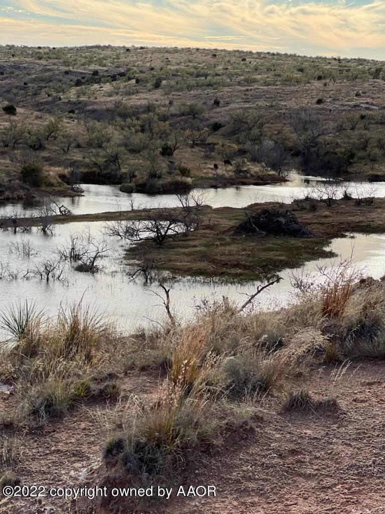 The The Turkey Ranch Turkey, TX 79261 - Photo 24 of 72 690068598