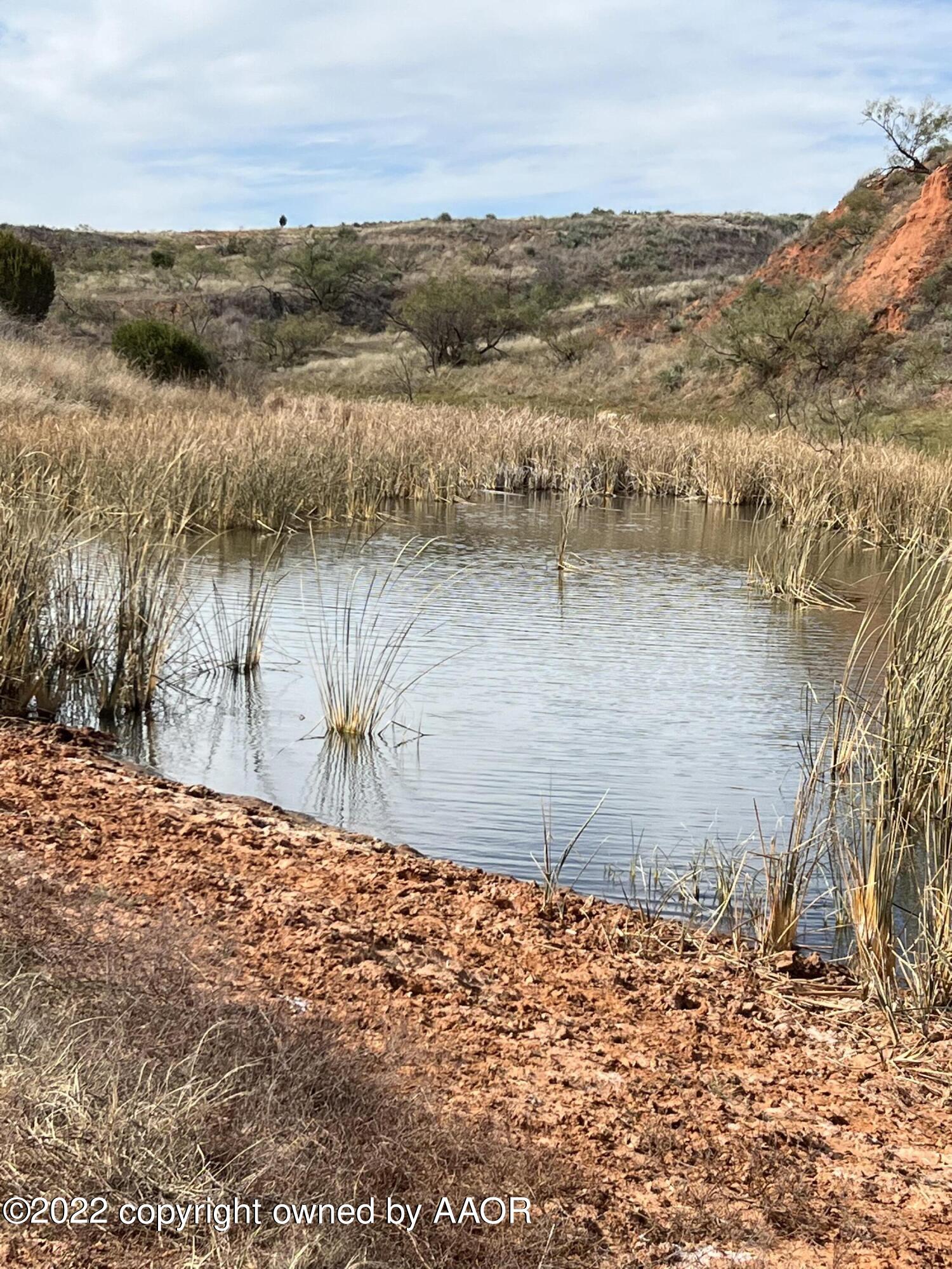 The The Turkey Ranch Turkey, TX 79261 - Photo 25 of 72 IMG-1537 (2)