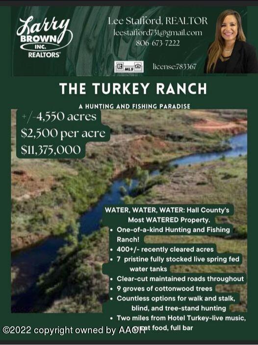 The The Turkey Ranch Turkey, TX 79261 - Photo 3 of 72 Turkey Ranch Flyer