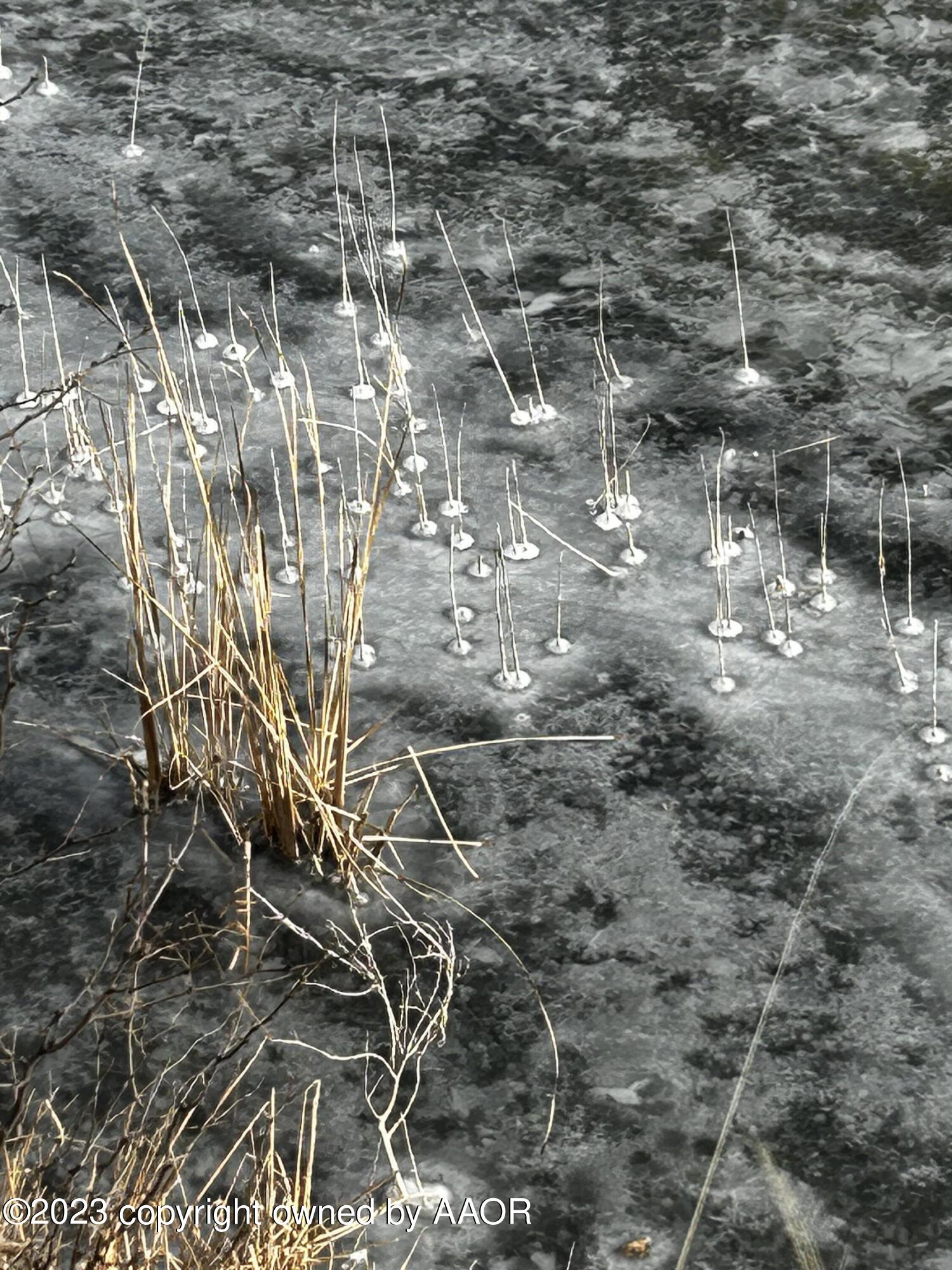 The The Turkey Ranch Turkey, TX 79261 - Photo 32 of 72 IMG-5074