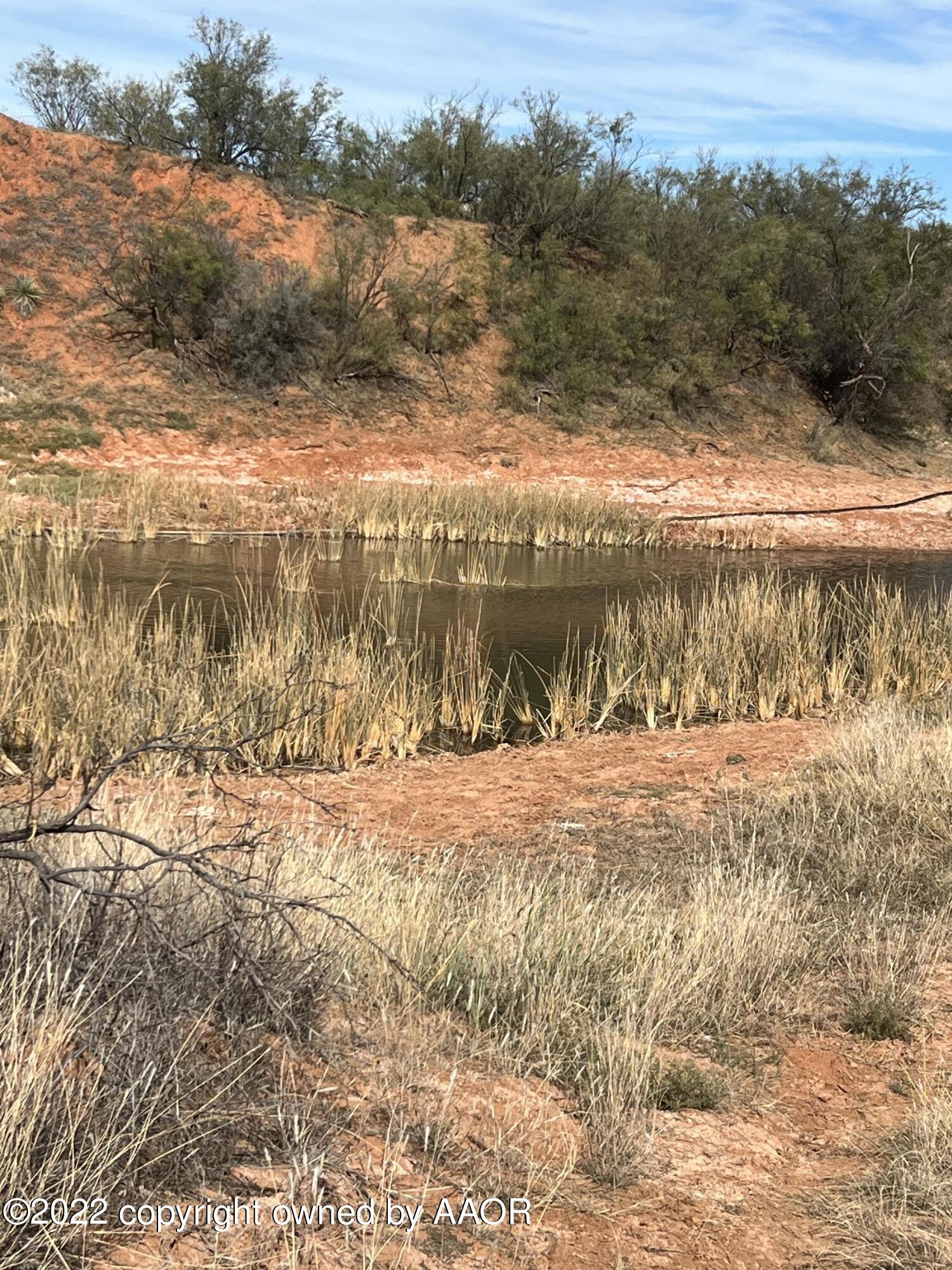 The The Turkey Ranch Turkey, TX 79261 - Photo 33 of 72 IMG-1536 (1)