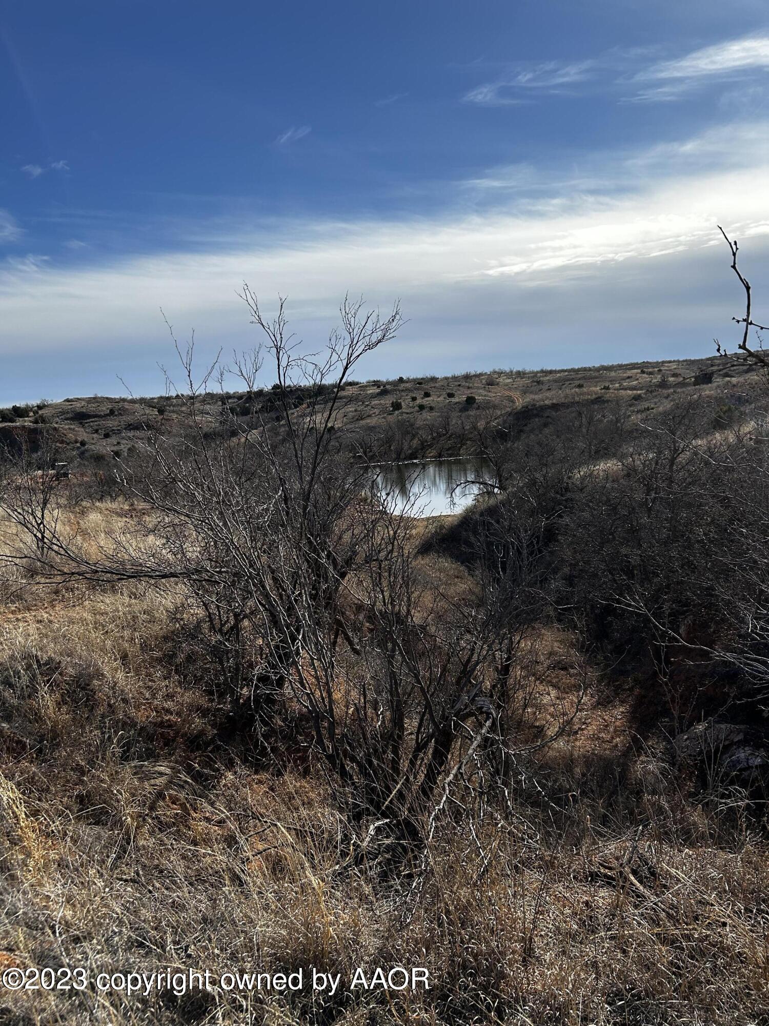 The The Turkey Ranch Turkey, TX 79261 - Photo 34 of 72 IMG-5067