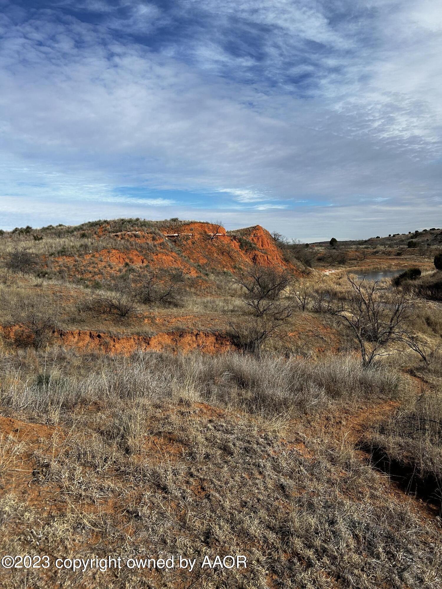 The The Turkey Ranch Turkey, TX 79261 - Photo 37 of 72 IMG-5056