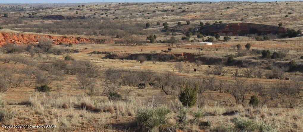 The The Turkey Ranch Turkey, TX 79261 - Photo 39 of 72 893BEDE35F634D0A9C3246FCCADF7EA3