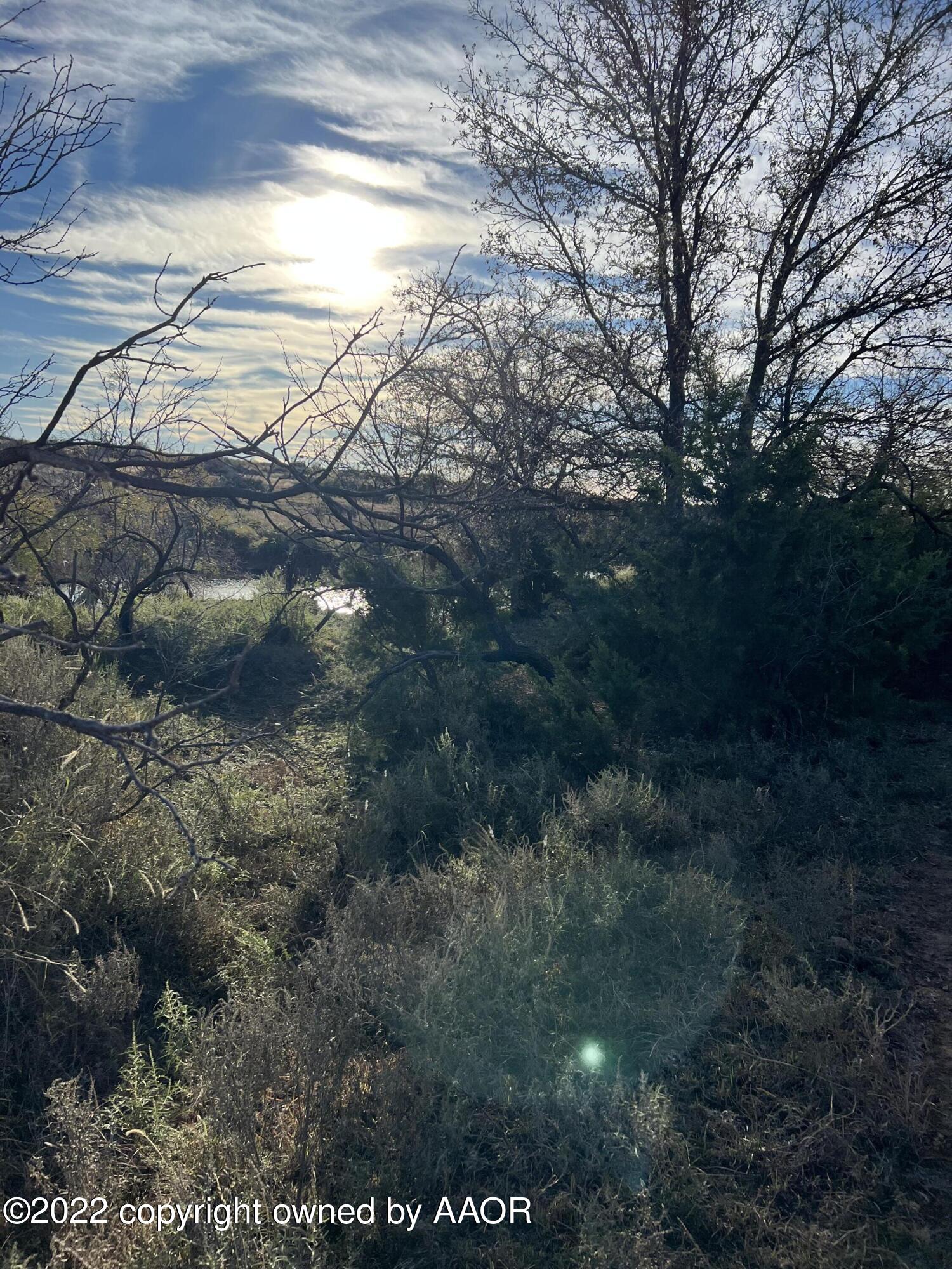 The The Turkey Ranch Turkey, TX 79261 - Photo 40 of 72 69004313633--16060F99-BBA8-4E8D-9960-511