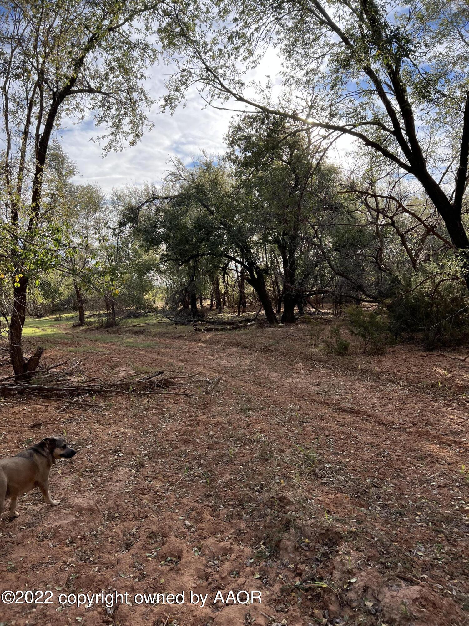 The The Turkey Ranch Turkey, TX 79261 - Photo 41 of 72 69004480905--9BC163A1-1C4E-47D8-AFFB-E26