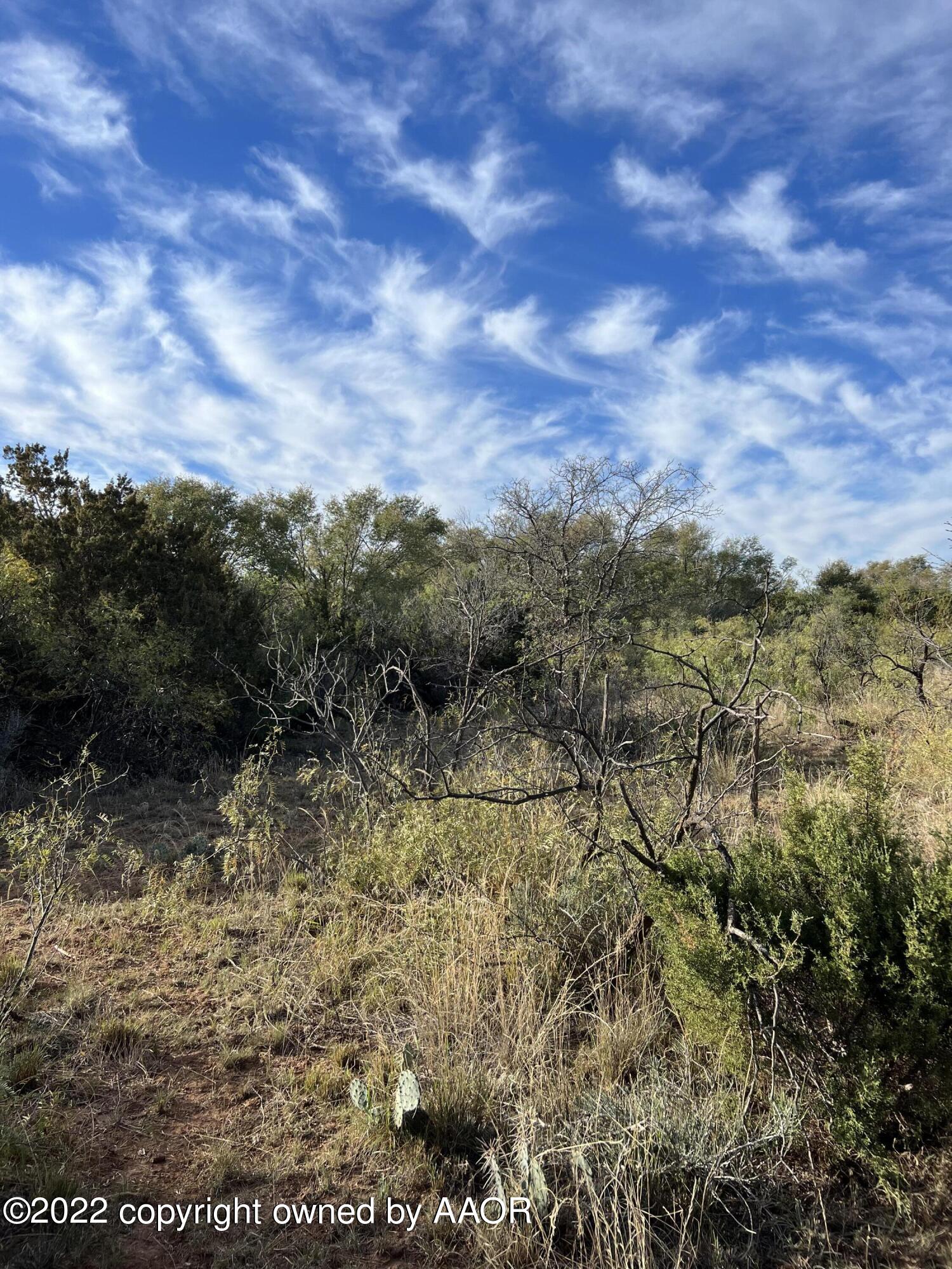 The The Turkey Ranch Turkey, TX 79261 - Photo 42 of 72 69004465911--260C3388-FB2D-415D-B27B-476