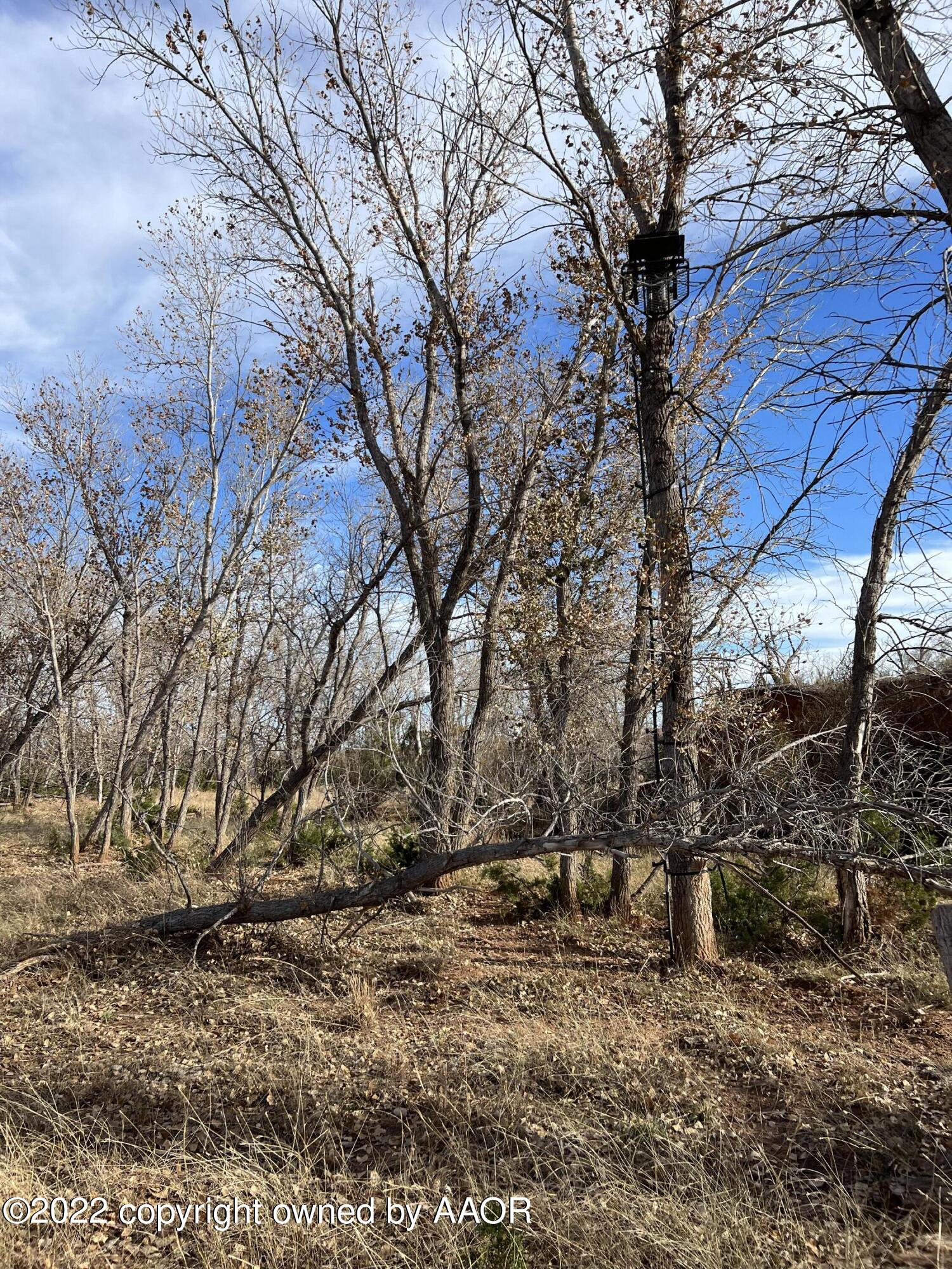 The The Turkey Ranch Turkey, TX 79261 - Photo 44 of 72 69006758107--B02CA135-1559-46CF-9D4E-EA8