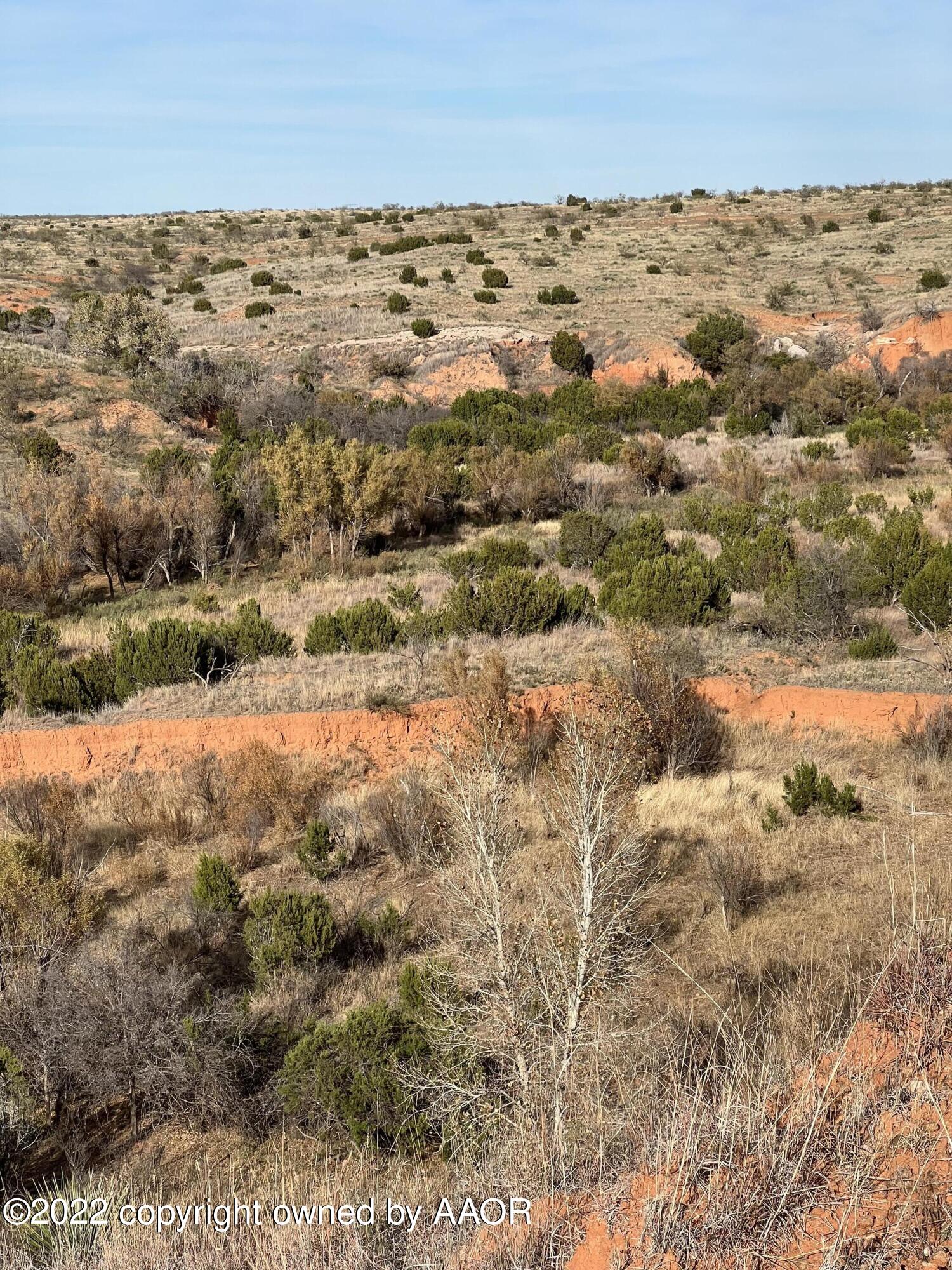 The The Turkey Ranch Turkey, TX 79261 - Photo 45 of 72 IMG-1563