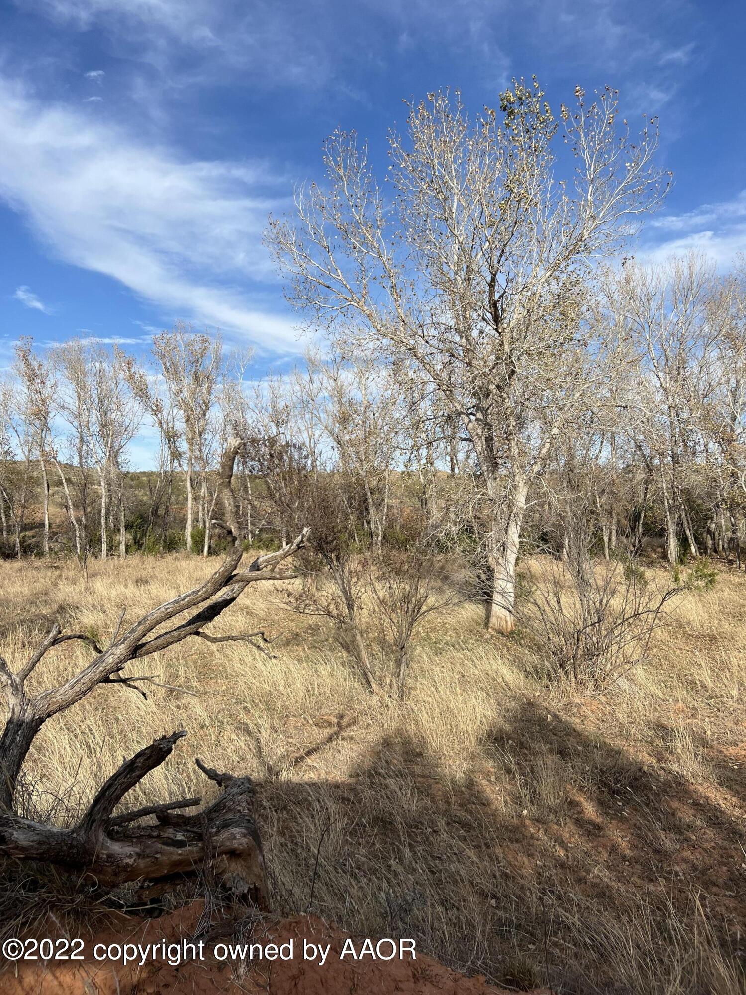 The The Turkey Ranch Turkey, TX 79261 - Photo 49 of 72 69006818259--84F84FFB-5054-49E8-8402-B44