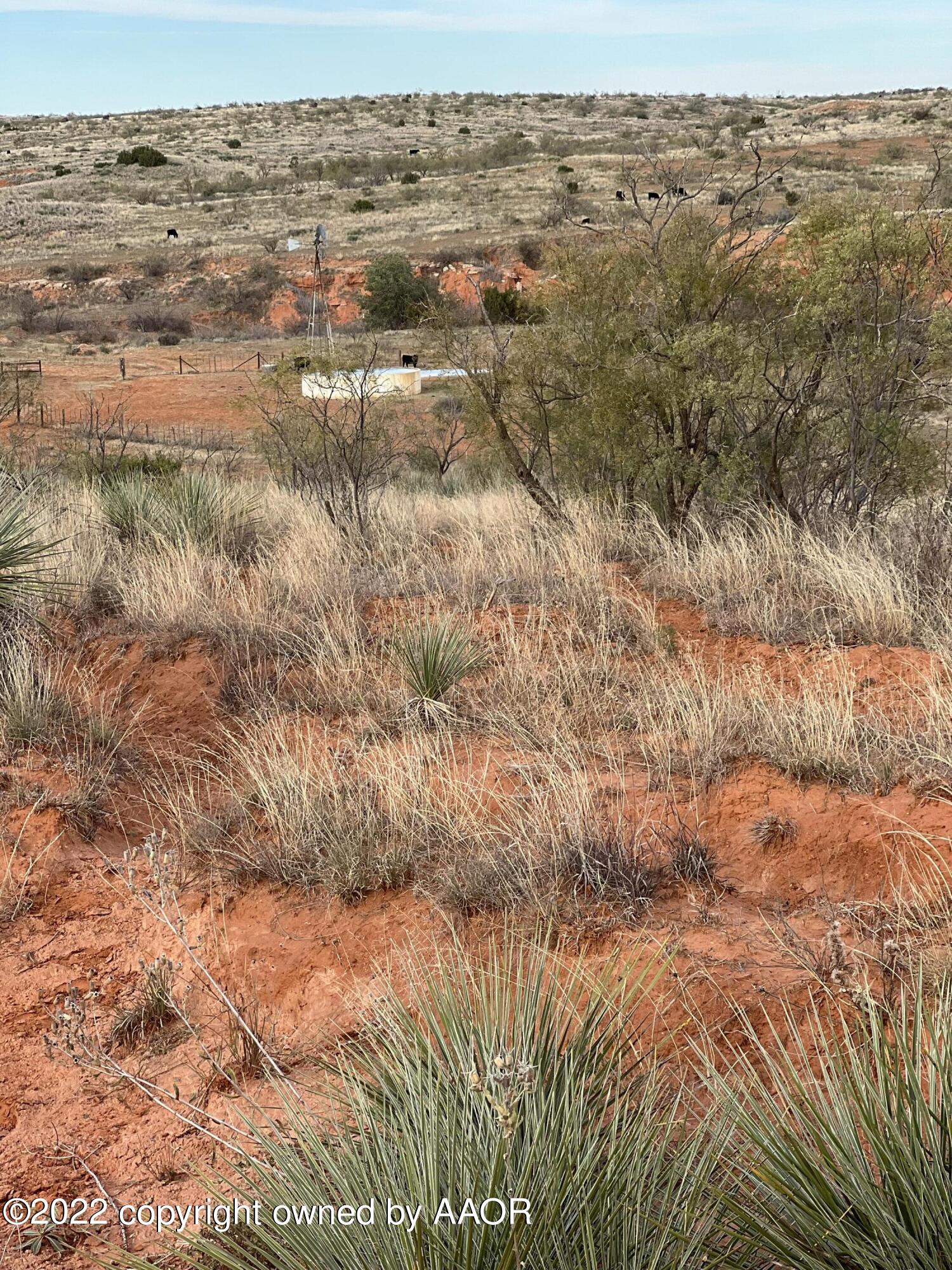 The The Turkey Ranch Turkey, TX 79261 - Photo 51 of 72 69006971697--91019E85-88BF-48A6-82D1-A5E