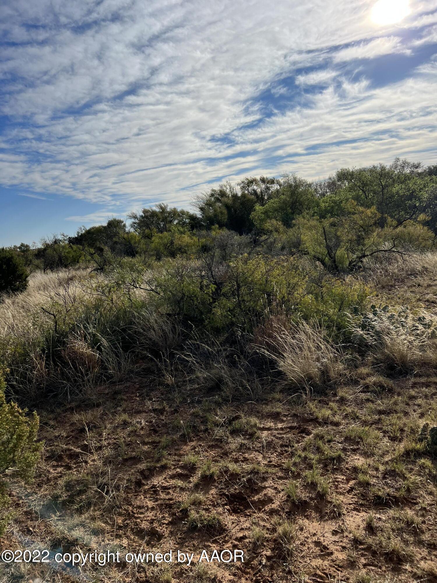 The The Turkey Ranch Turkey, TX 79261 - Photo 64 of 72 69004512522--DC9B24BE-2DF9-4114-BAE9-E15