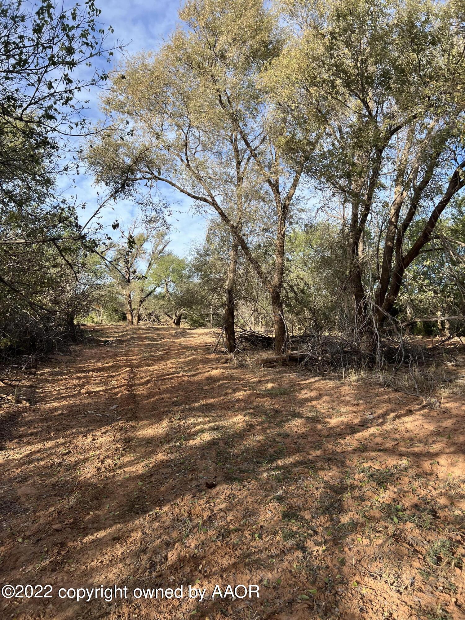 The The Turkey Ranch Turkey, TX 79261 - Photo 65 of 72 69004482349--52BE1BF9-0139-48BA-96FF-79B