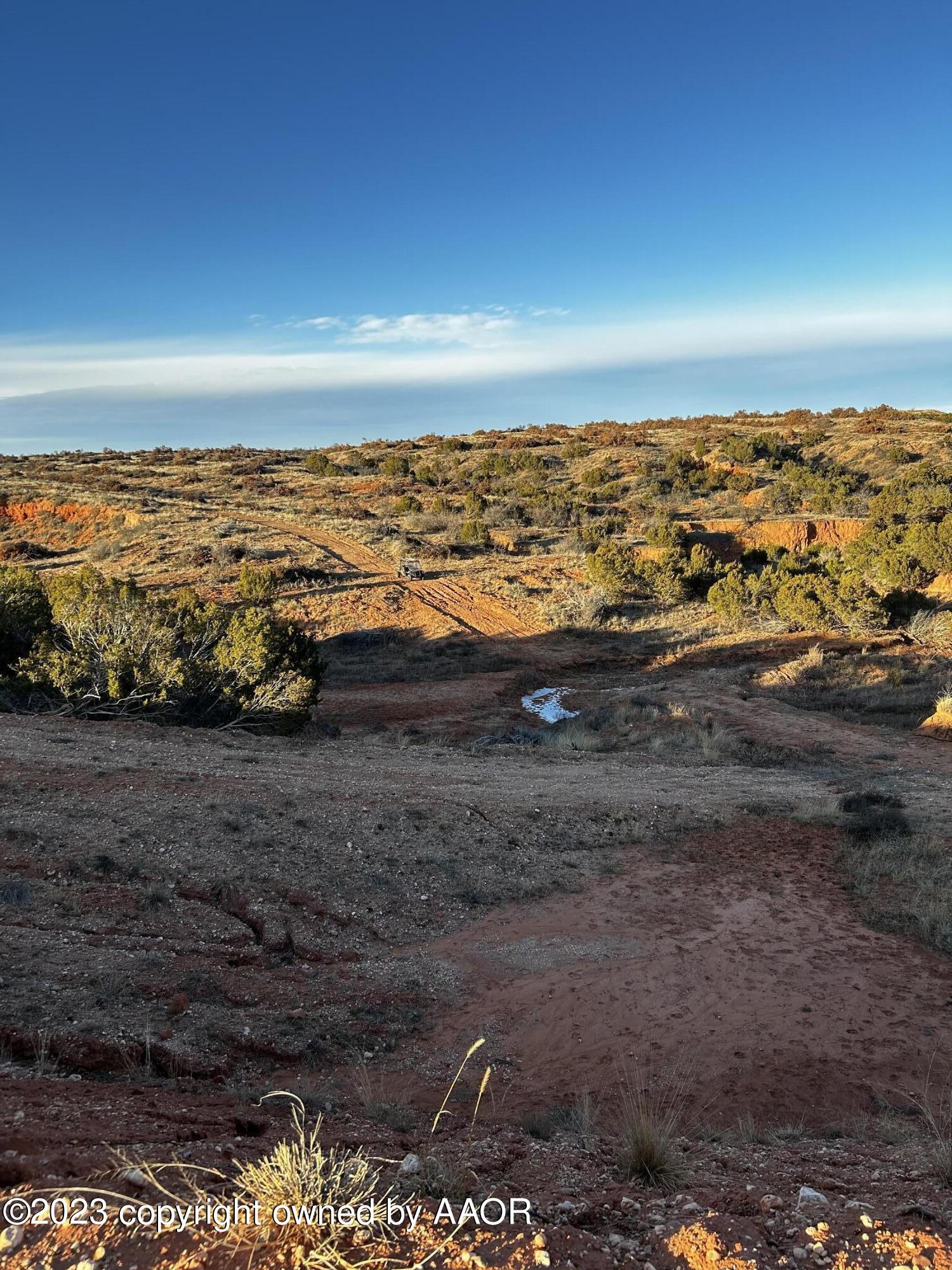 The The Turkey Ranch Turkey, TX 79261 - Photo 67 of 72 IMG-5094