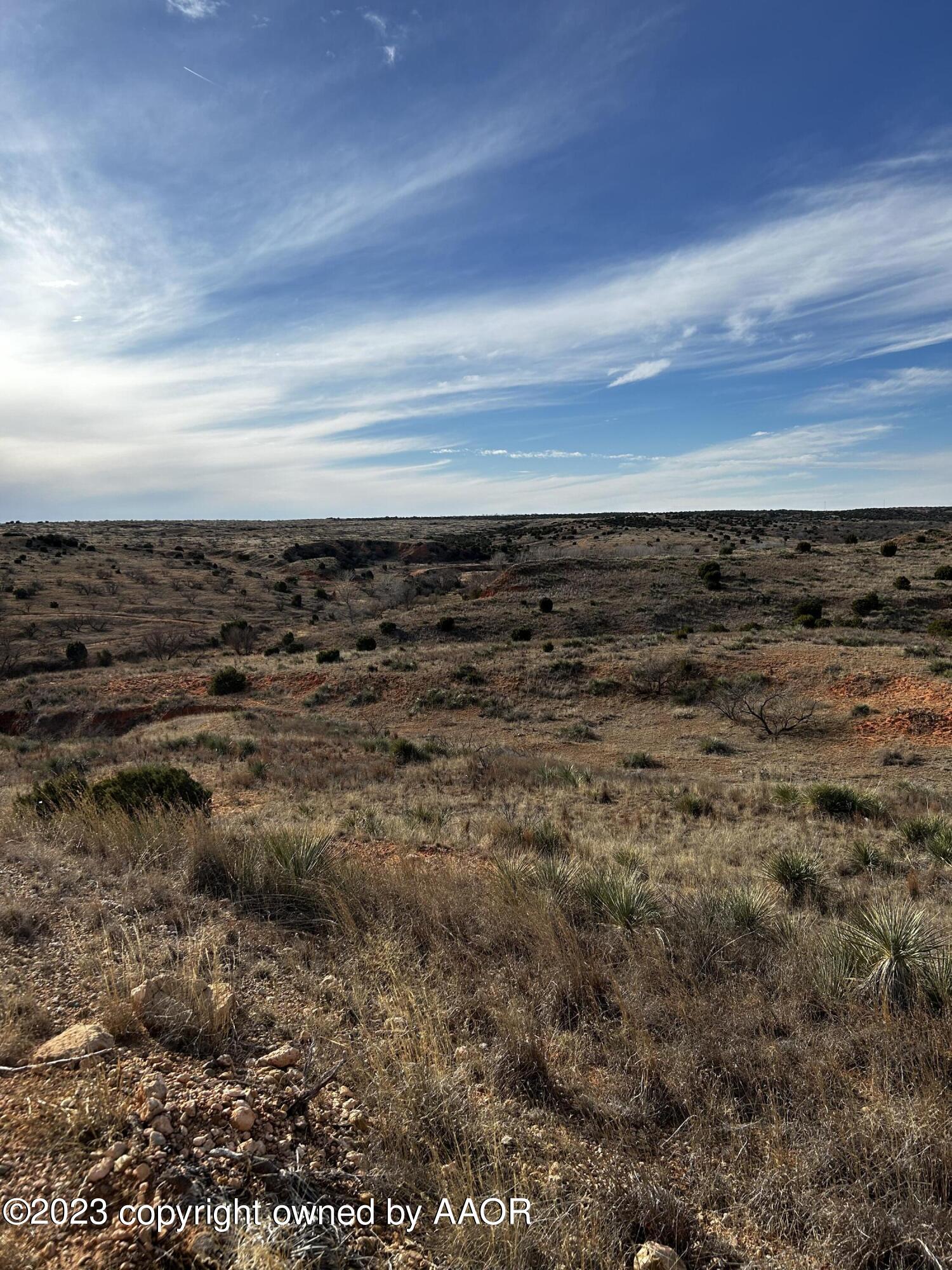 The The Turkey Ranch Turkey, TX 79261 - Photo 68 of 72 IMG-5079 (1)