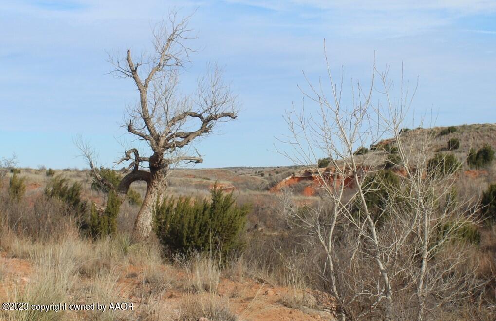 The The Turkey Ranch Turkey, TX 79261 - Photo 69 of 72 7762D8EF91824B78A35320556AD0033D