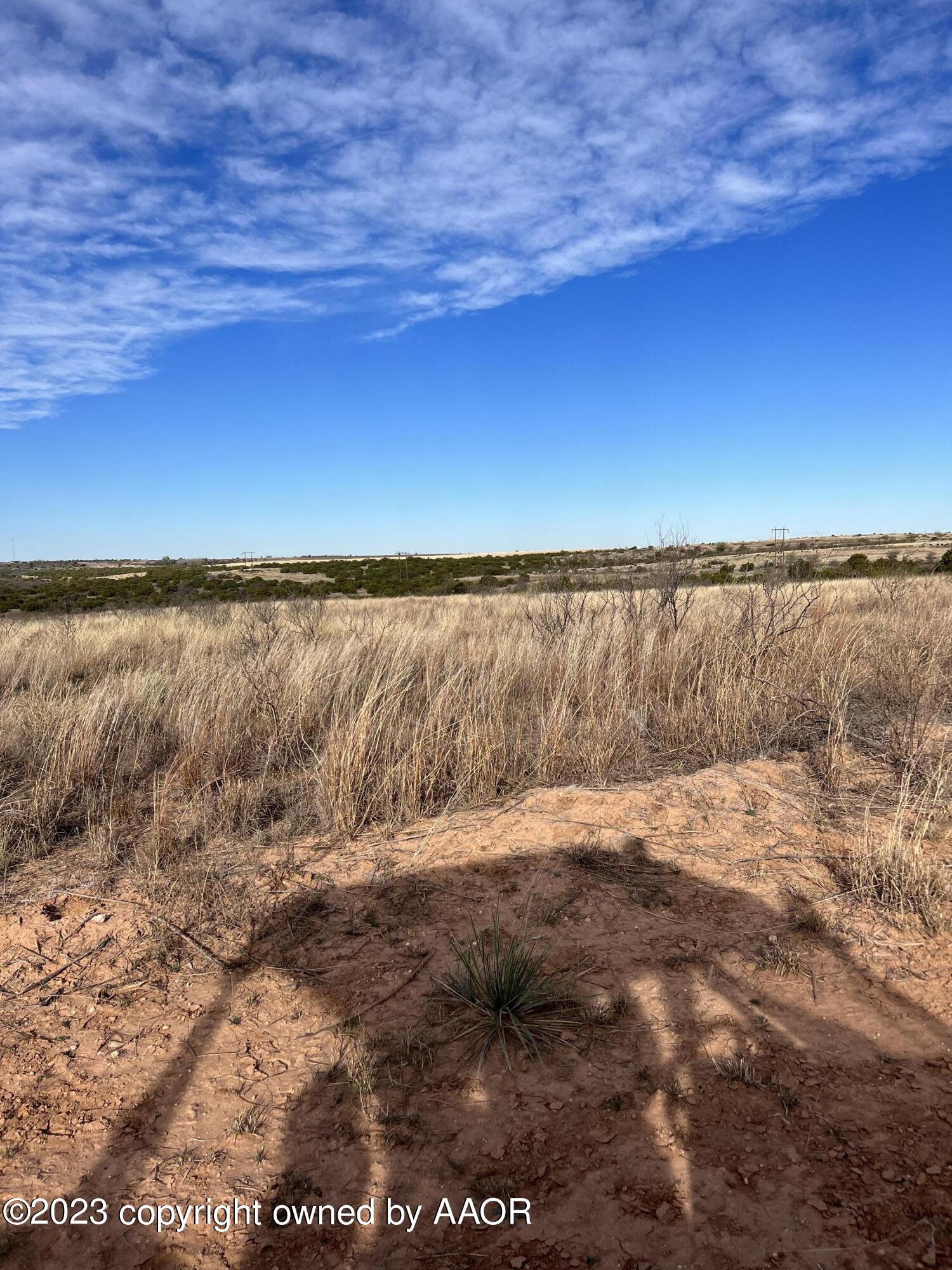 The The Turkey Ranch Turkey, TX 79261 - Photo 72 of 72 CJFT3656