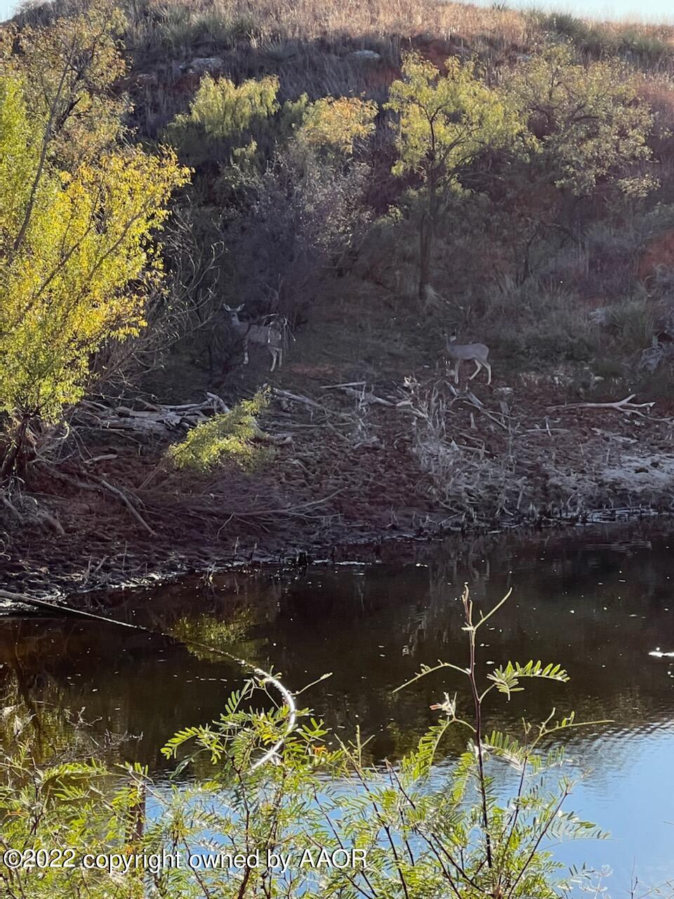 The The Turkey Ranch Turkey, TX 79261 - Photo 8 of 72 IMG-1510 (1)