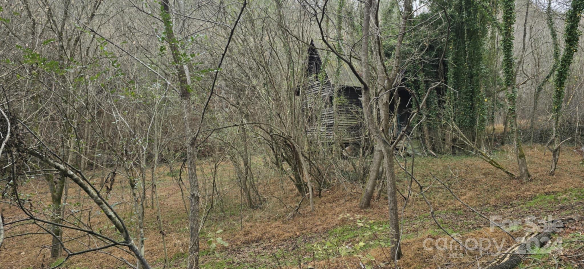 0 Baileys Branch Road Marshall, NC 28753 - Photo 13 of 17 Gallery Image 13