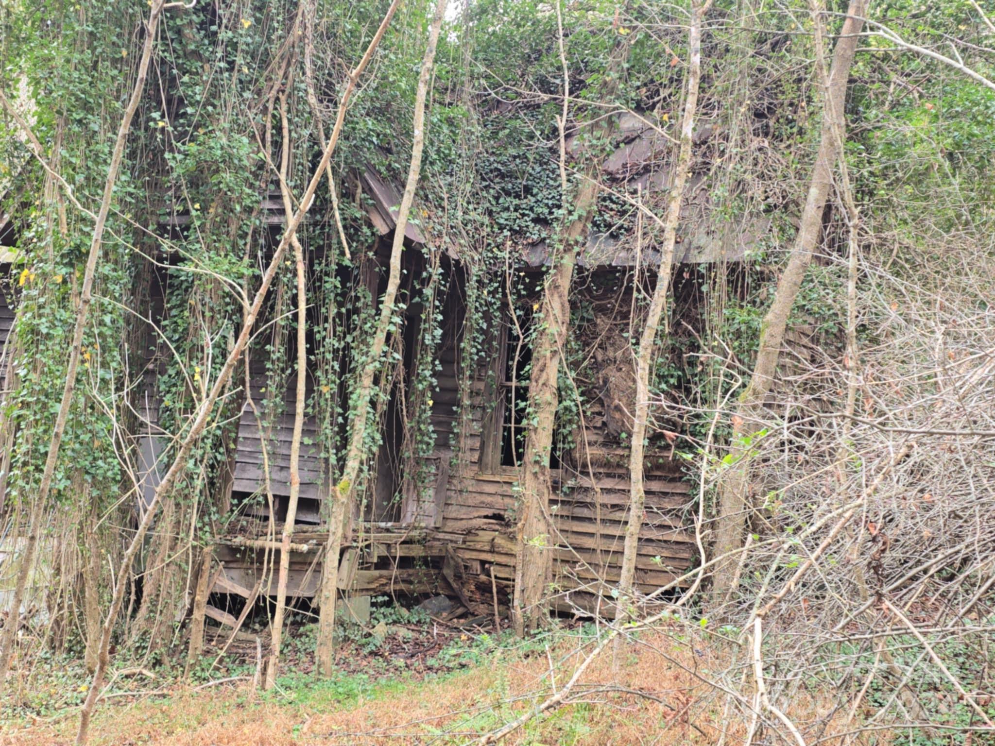 0 Baileys Branch Road Marshall, NC 28753 - Photo 14 of 17 Gallery Image 14