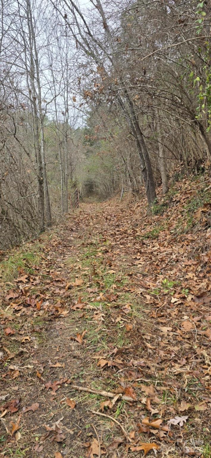 0 Baileys Branch Road Marshall, NC 28753 - Photo 16 of 17 Gallery Image 16