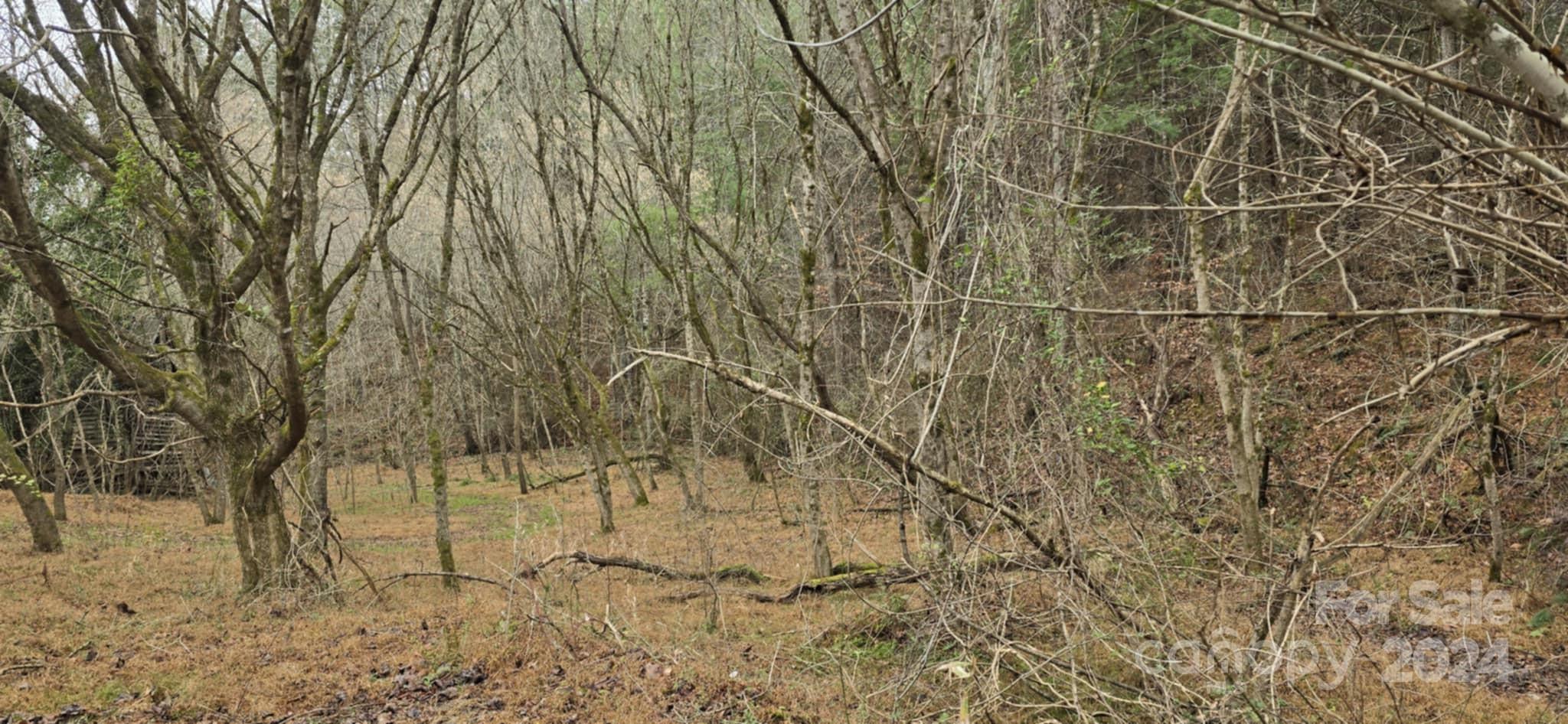 0 Baileys Branch Road Marshall, NC 28753 - Photo 2 of 17 Gallery Image 2