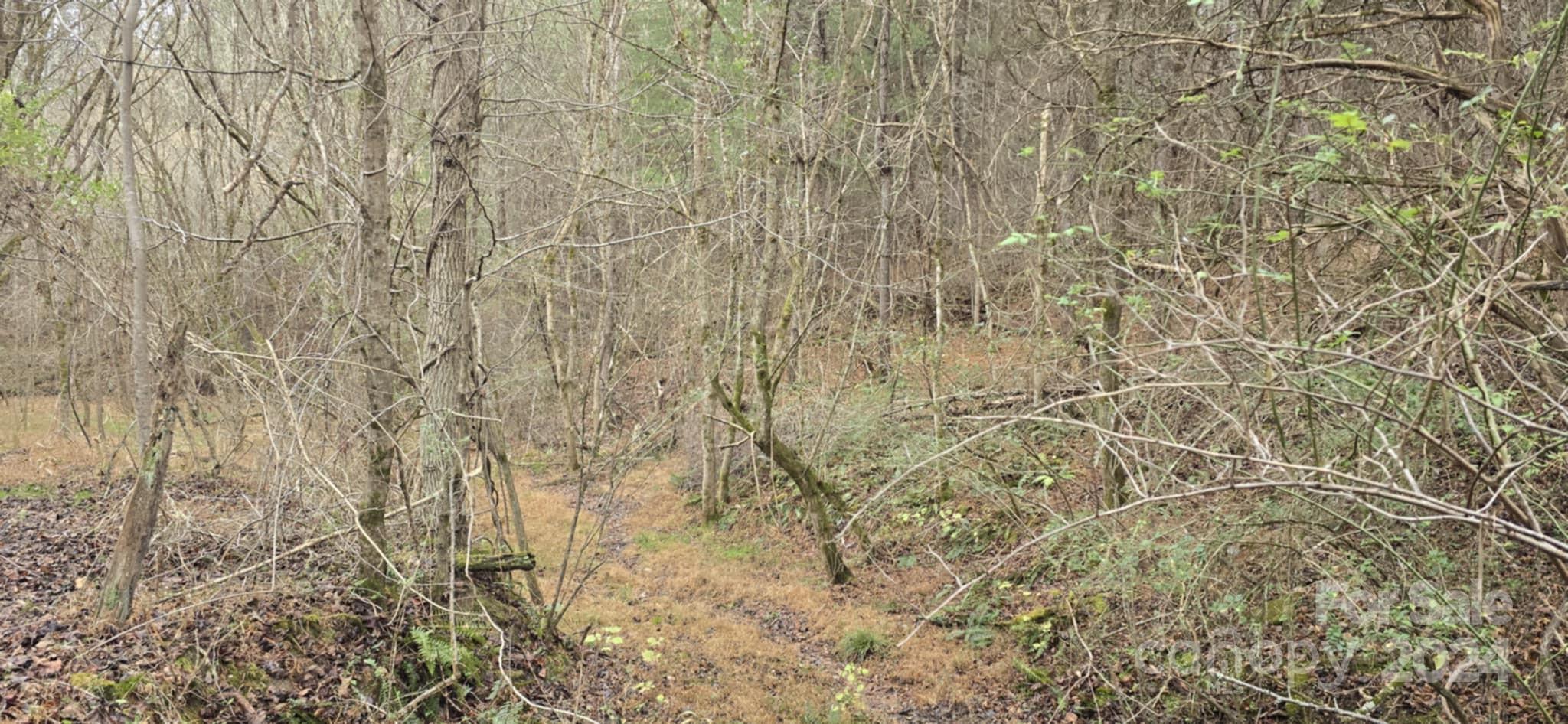 0 Baileys Branch Road Marshall, NC 28753 - Photo 3 of 17 Gallery Image 3