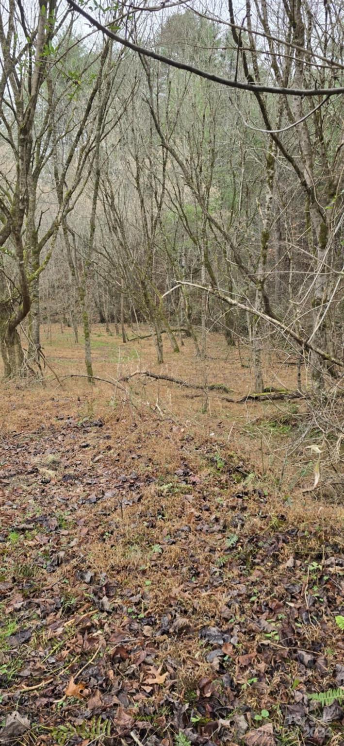 0 Baileys Branch Road Marshall, NC 28753 - Photo 5 of 17 Gallery Image 5