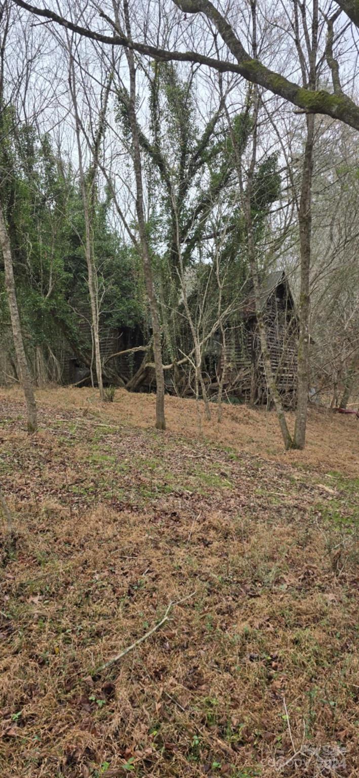 0 Baileys Branch Road Marshall, NC 28753 - Photo 6 of 17 Gallery Image 6