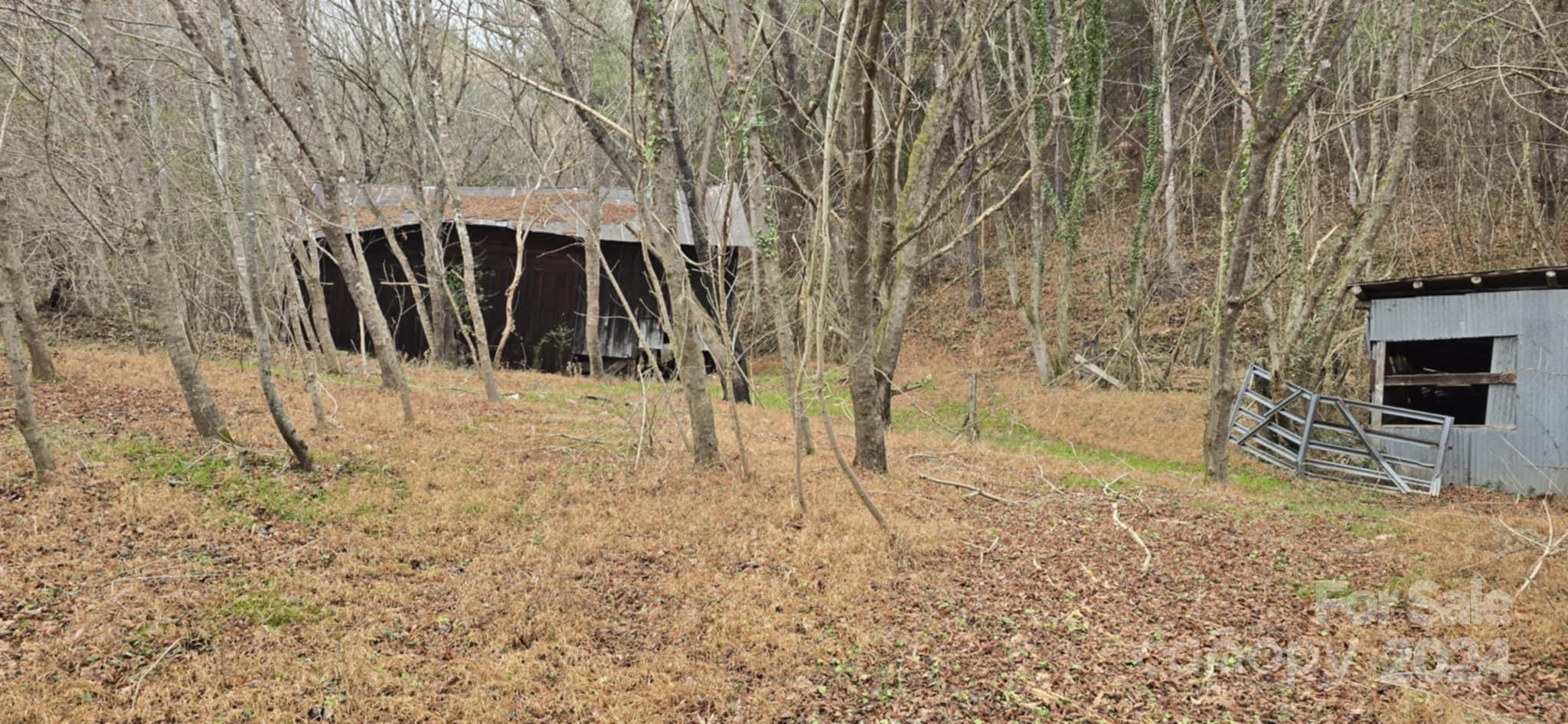 0 Baileys Branch Road Marshall, NC 28753 - Photo 10 of 17 Gallery Image 10