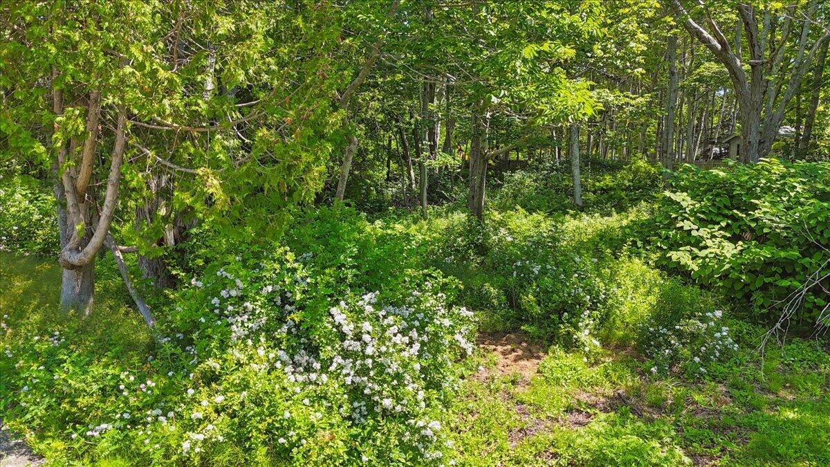 0 Neighborhood Road Northeast Harbor, ME 04662 - Photo 6 of 18 08-Land - Northeast Harbor-20