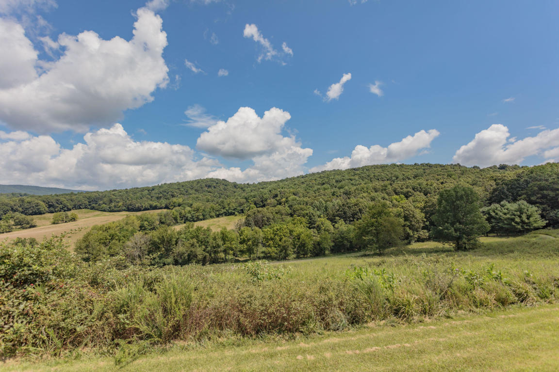 1236 Dutch Hollow Road Raphine, VA 24472 - Photo 11 of 45 a view of a lake