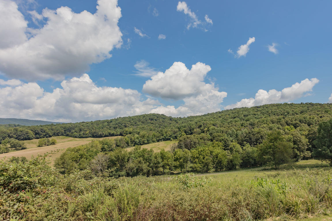1236 Dutch Hollow Road Raphine, VA 24472 - Photo 12 of 45 a view of a lake