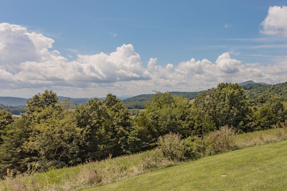 1236 Dutch Hollow Road Raphine, VA 24472 - Photo 13 of 45 a view of a lake